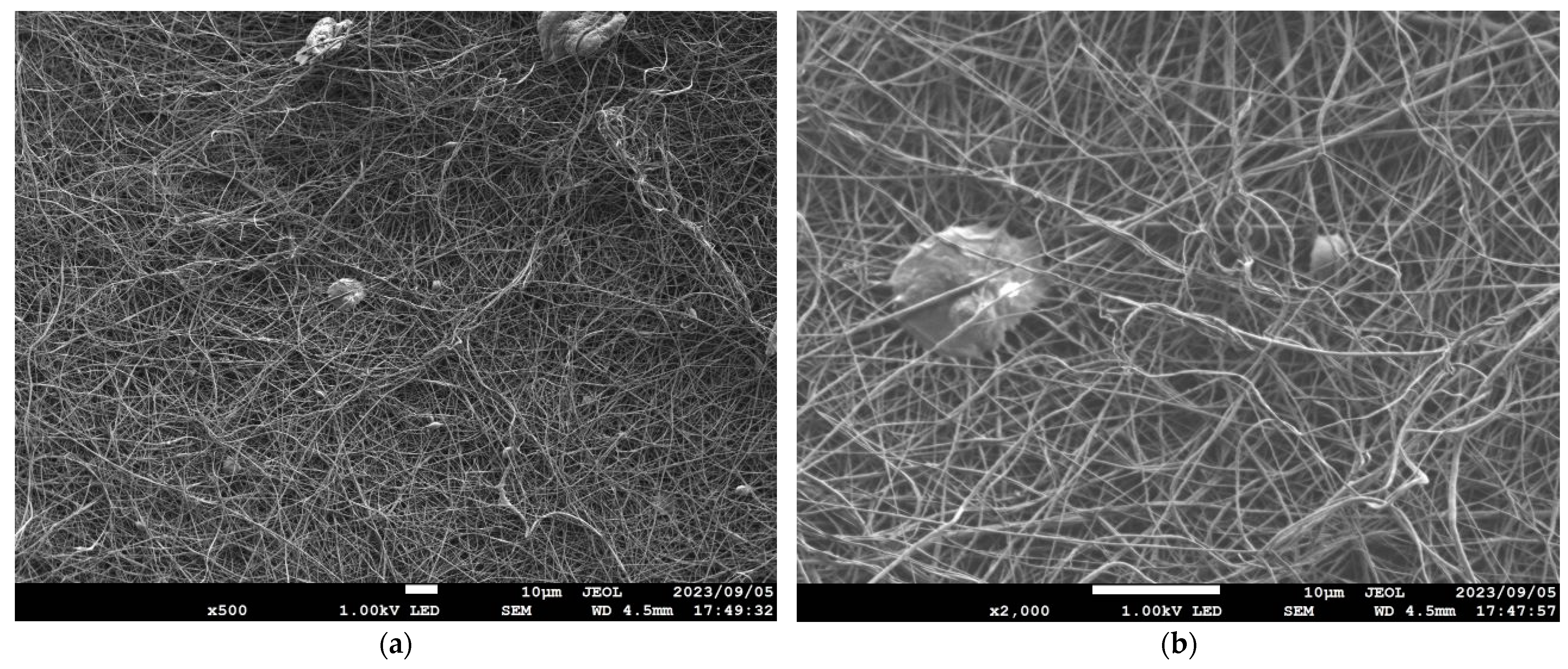 Nanomaterials 13 02947 g002 Nanomaterials 13 02947 g002
