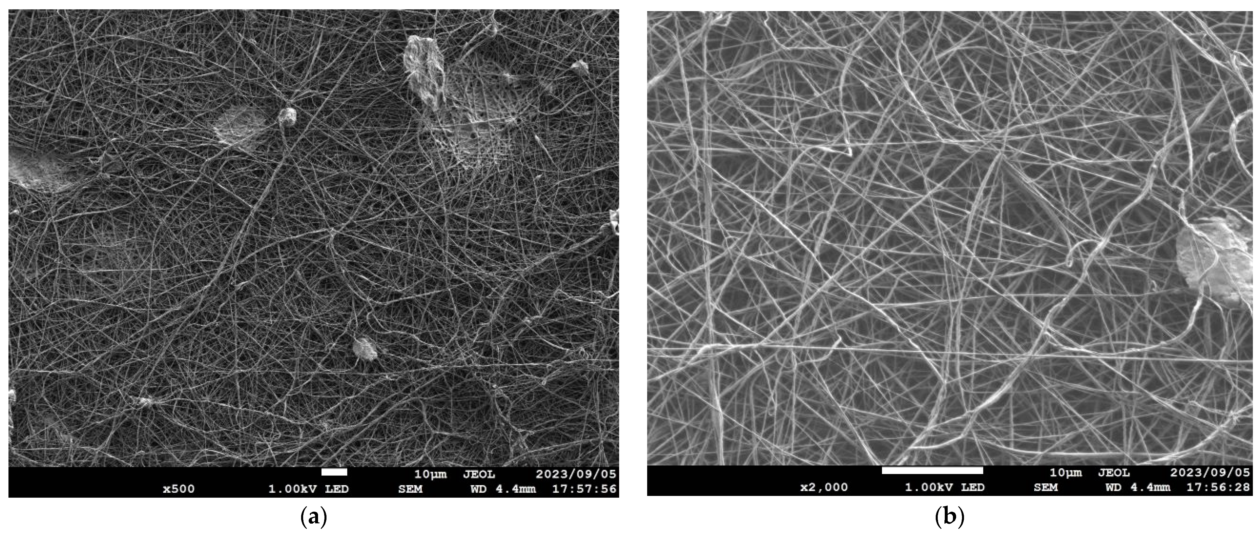 Nanomaterials 13 02947 g003 Nanomaterials 13 02947 g003