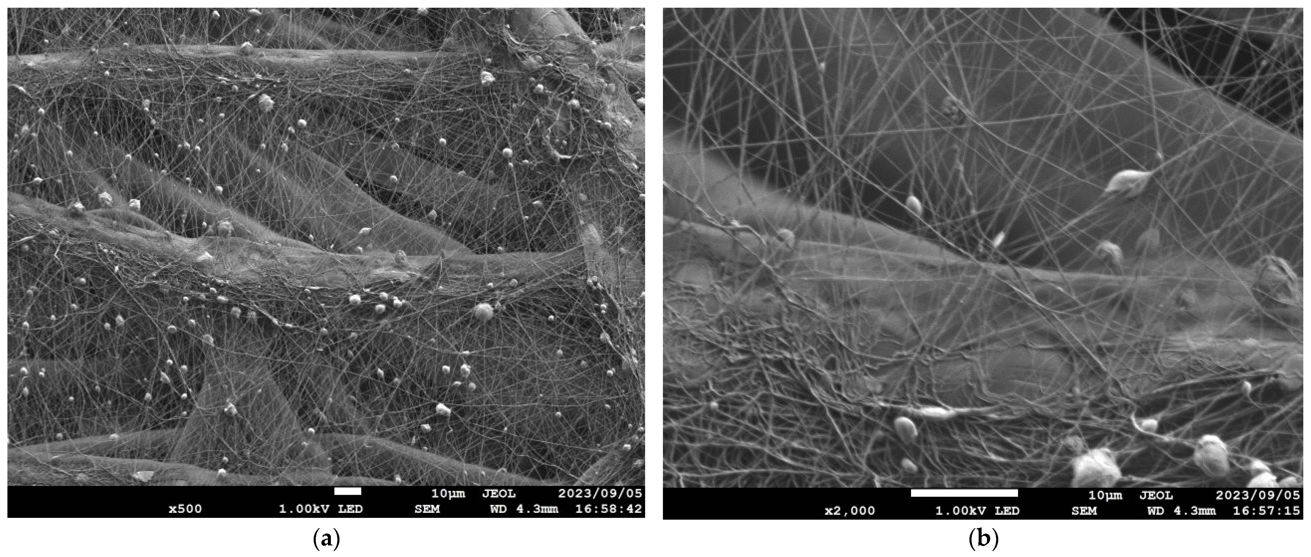 Nanomaterials 13 02947 g004 Nanomaterials 13 02947 g004