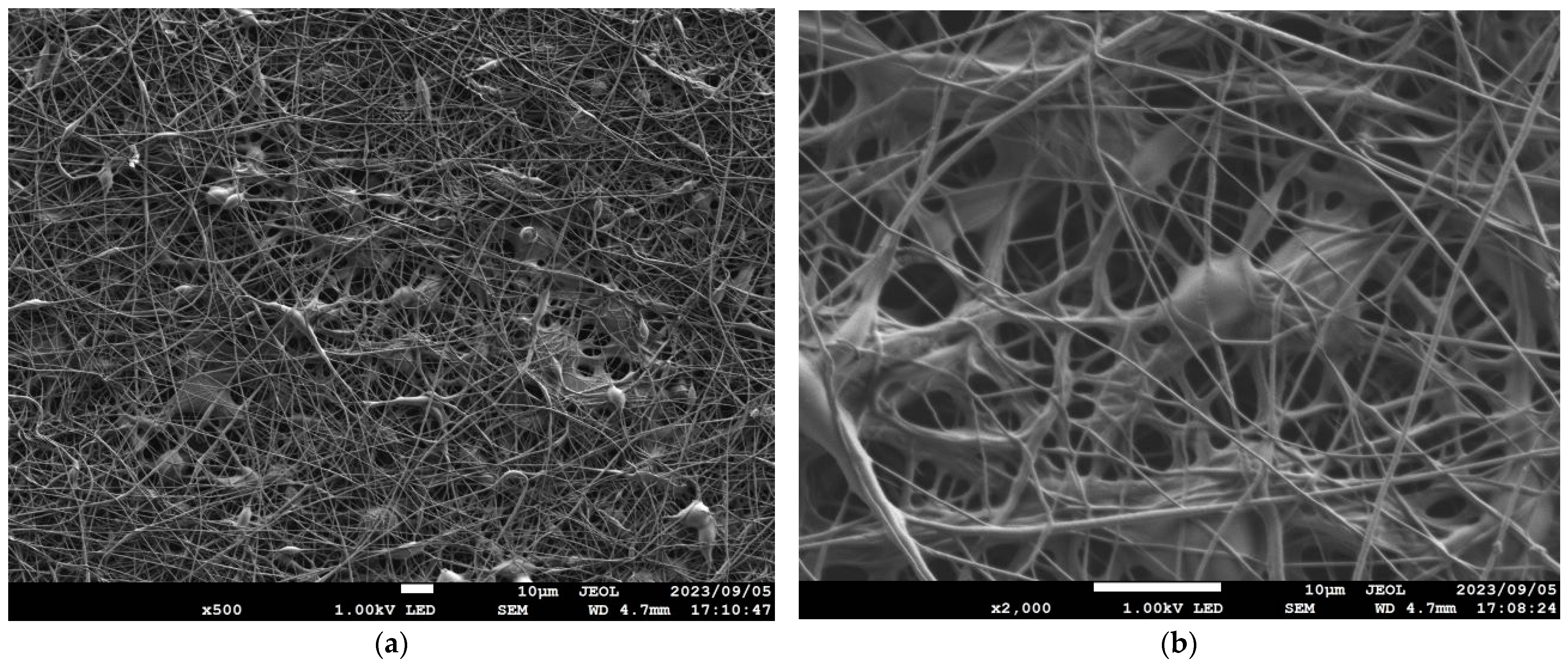 Nanomaterials 13 02947 g005 Nanomaterials 13 02947 g005