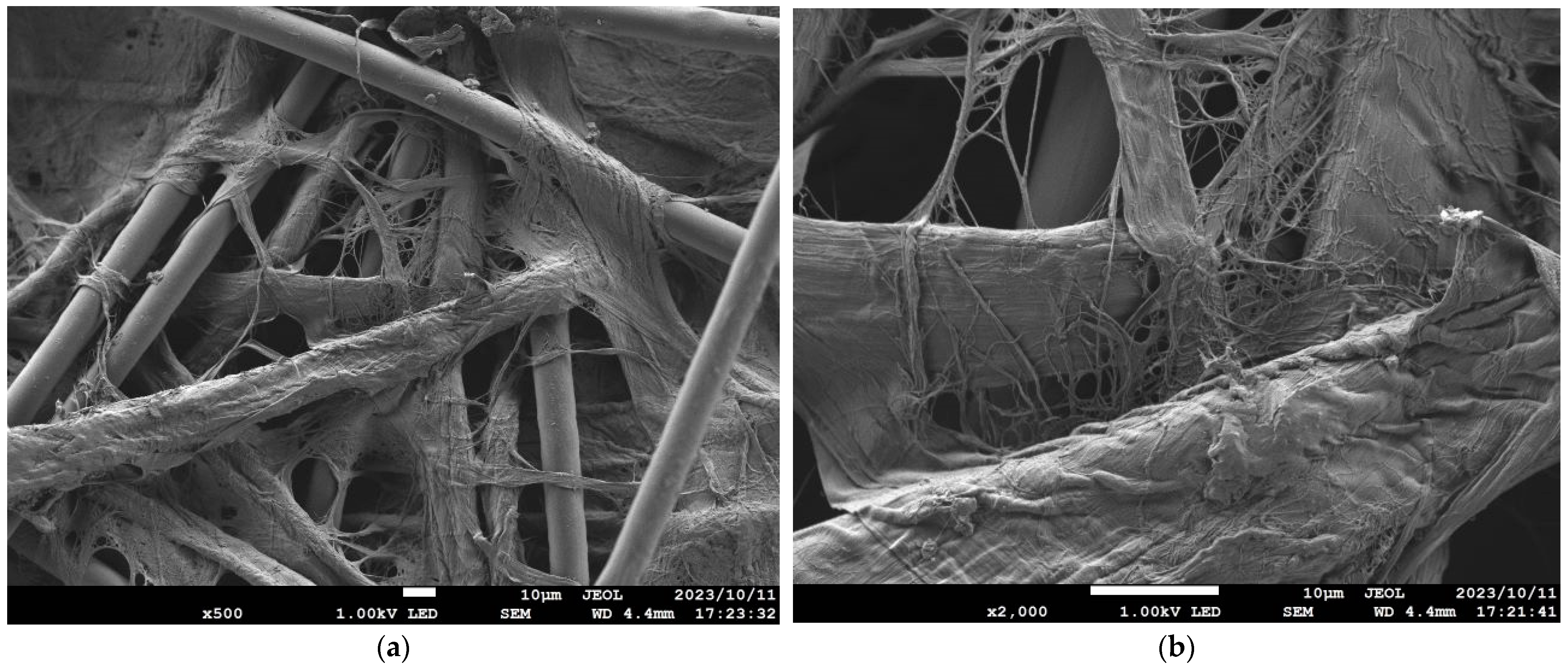 Nanomaterials 13 02947 g006 Nanomaterials 13 02947 g006
