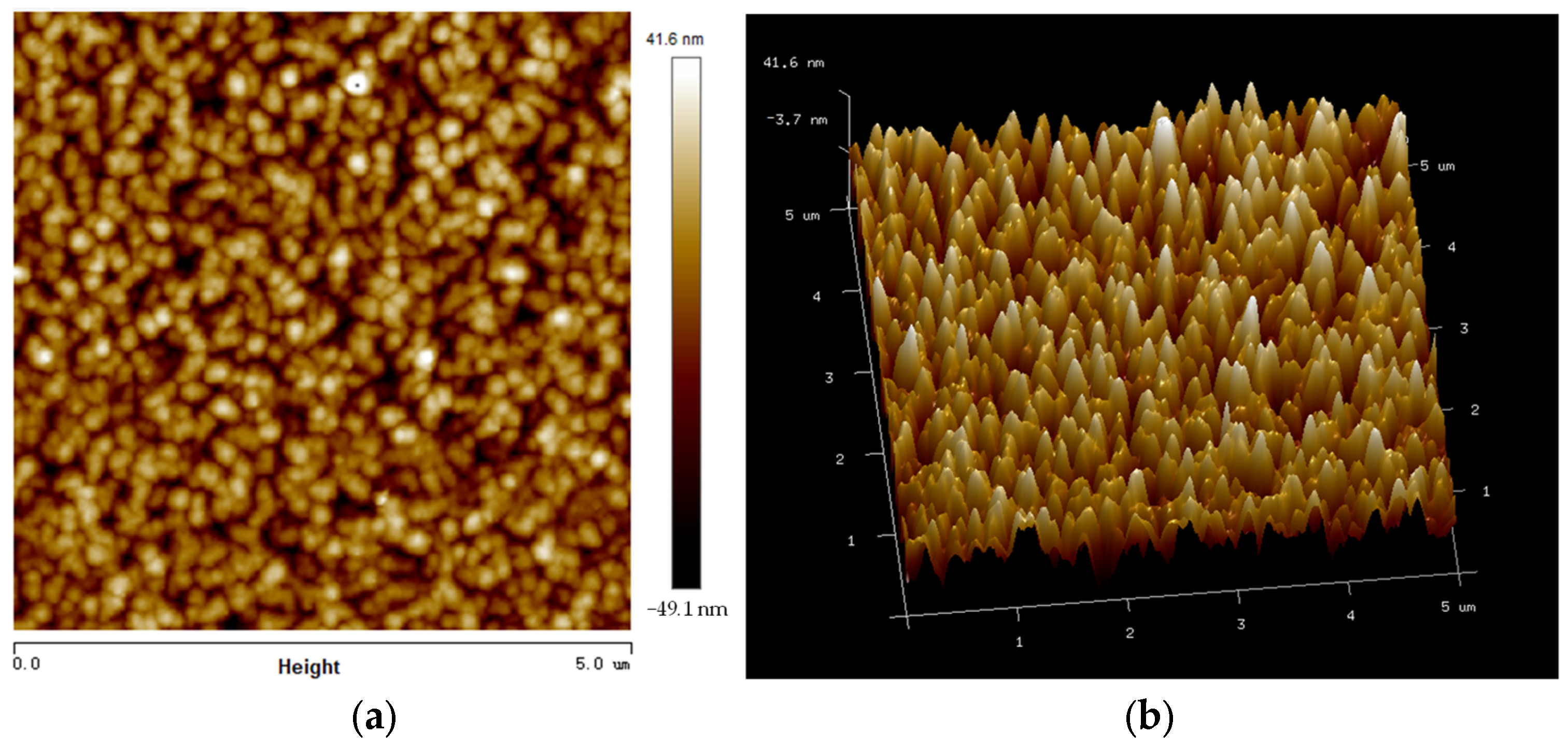 Nanomaterials 13 02948 g002