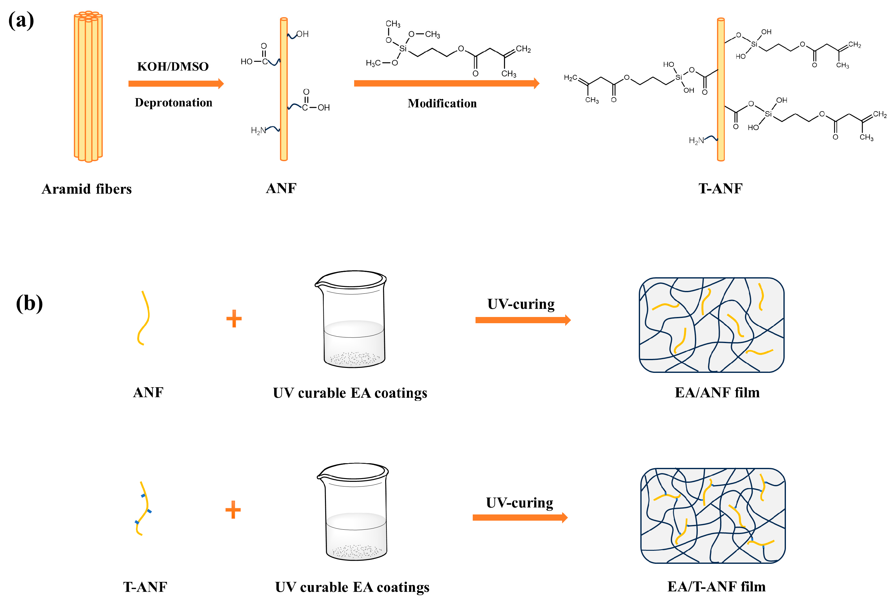 Nanomaterials 13 02960 g001