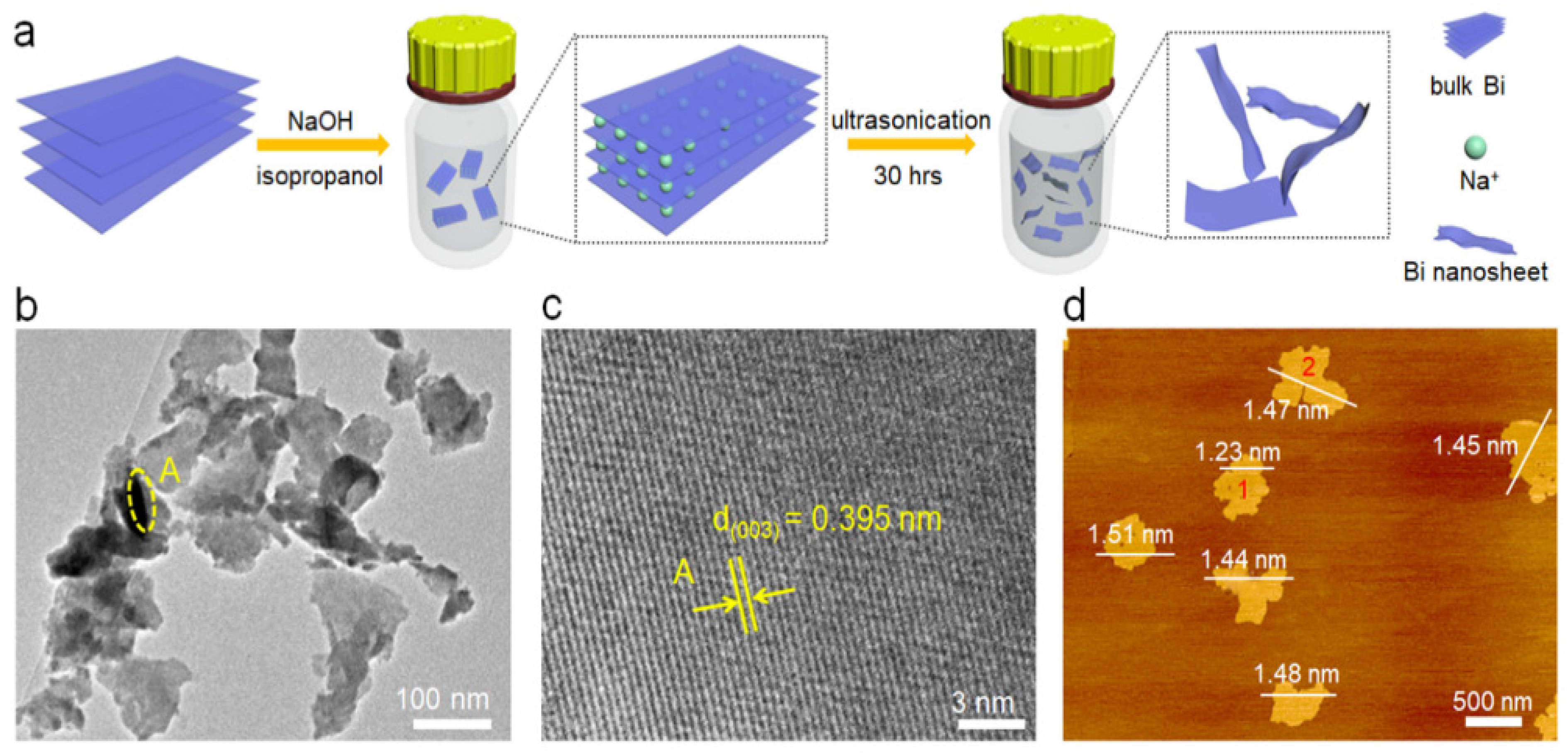 Nanomaterials 13 02966 g001