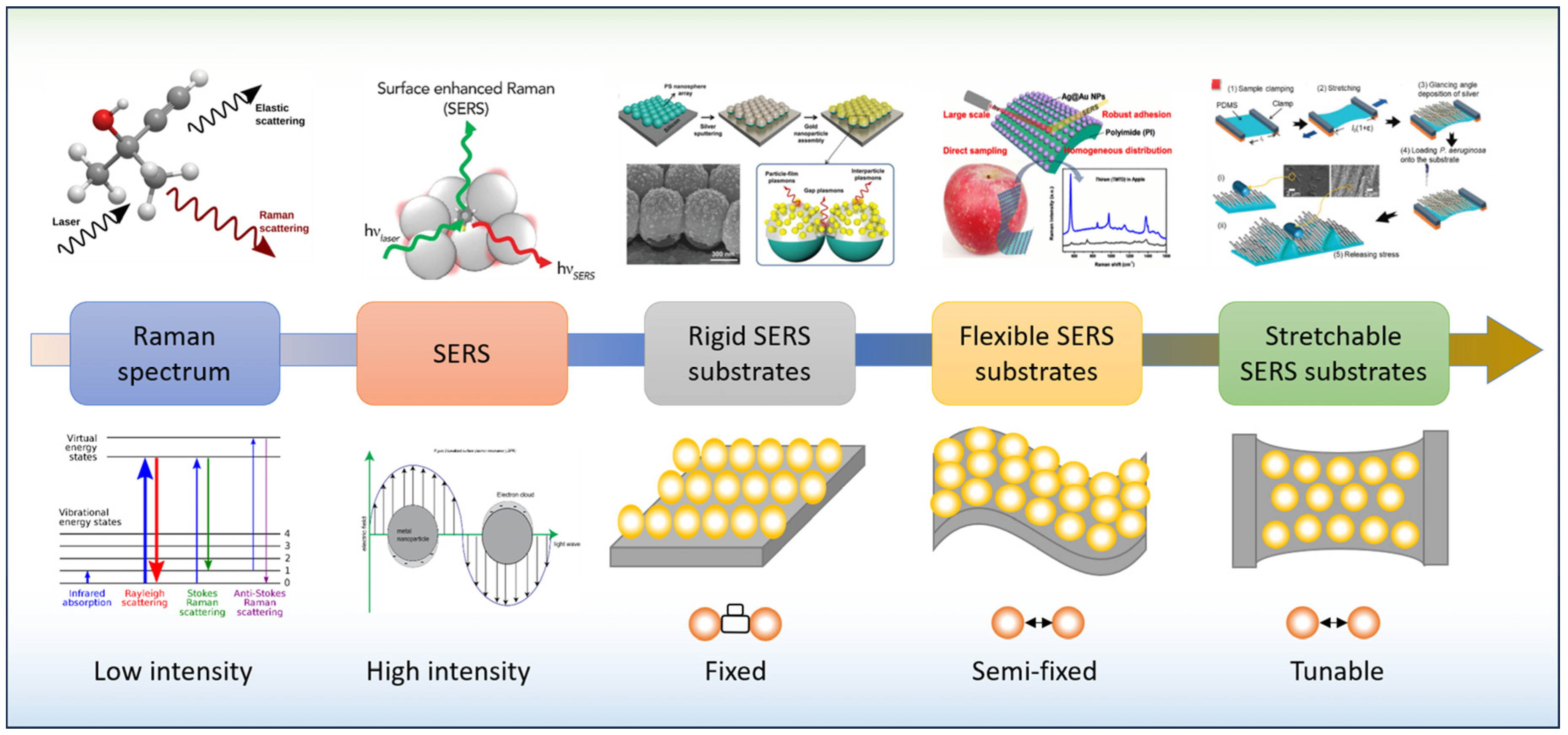 Nanomaterials 13 02968 g002