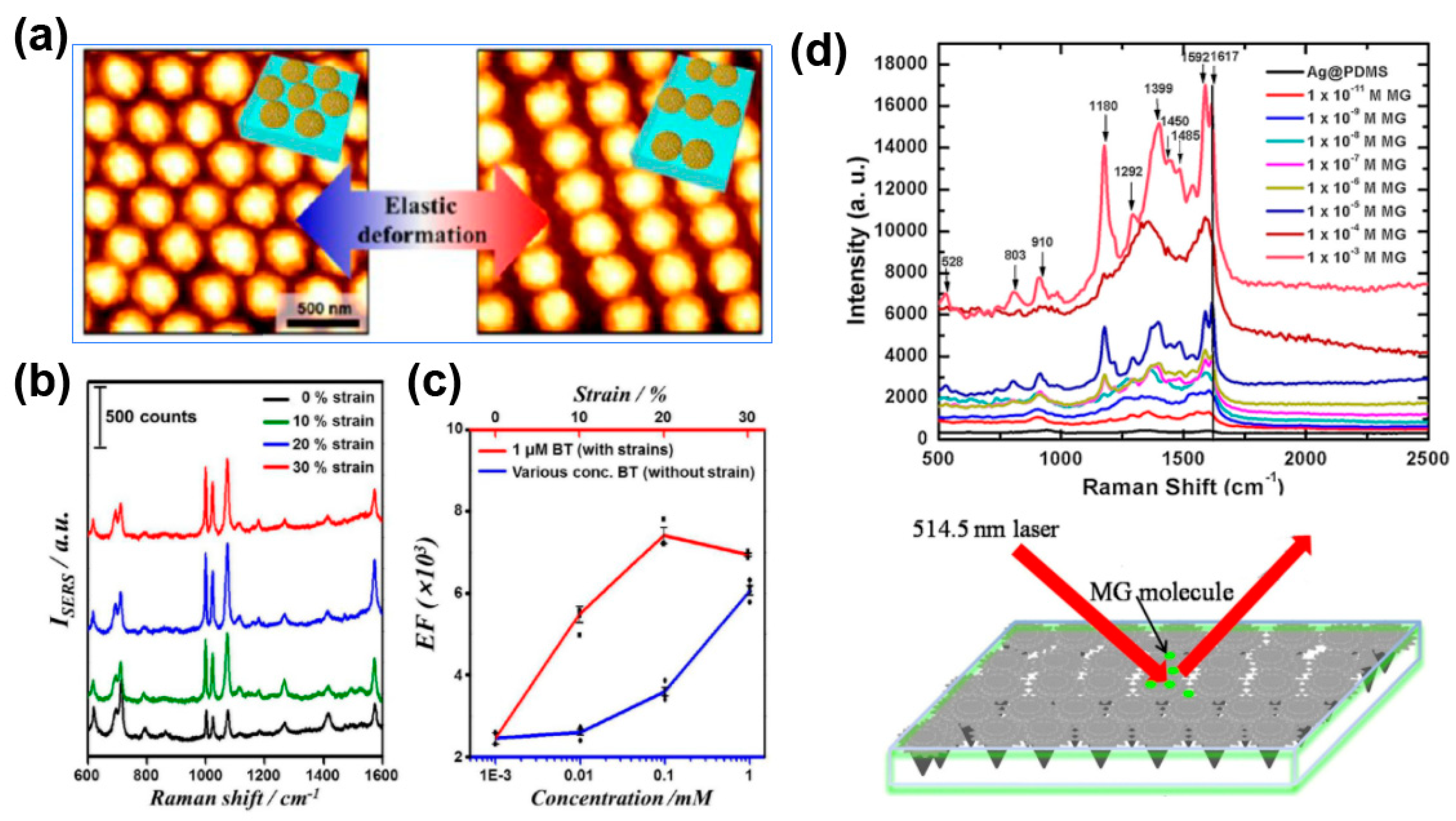 Nanomaterials 13 02968 g008