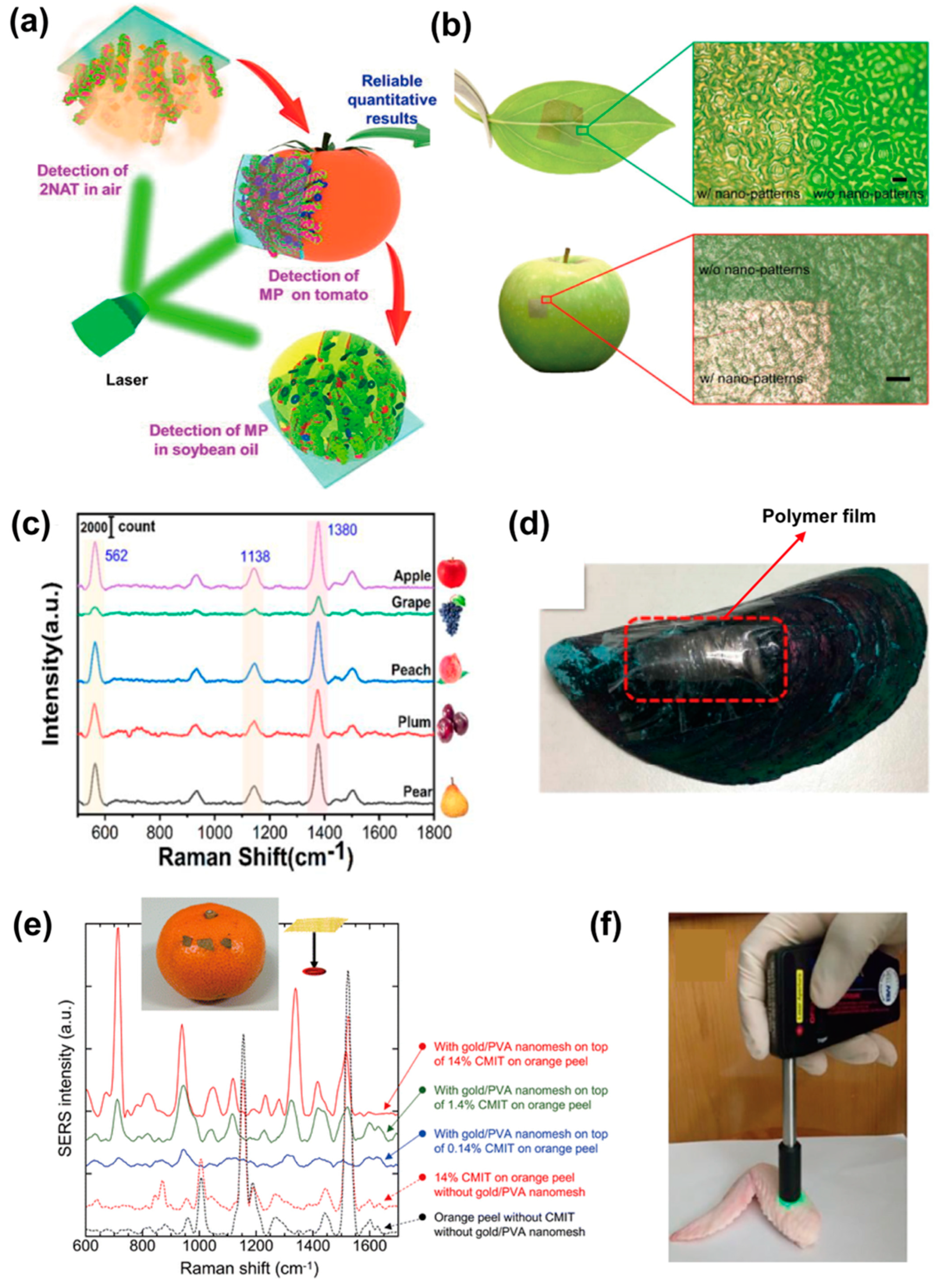 Nanomaterials 13 02968 g009