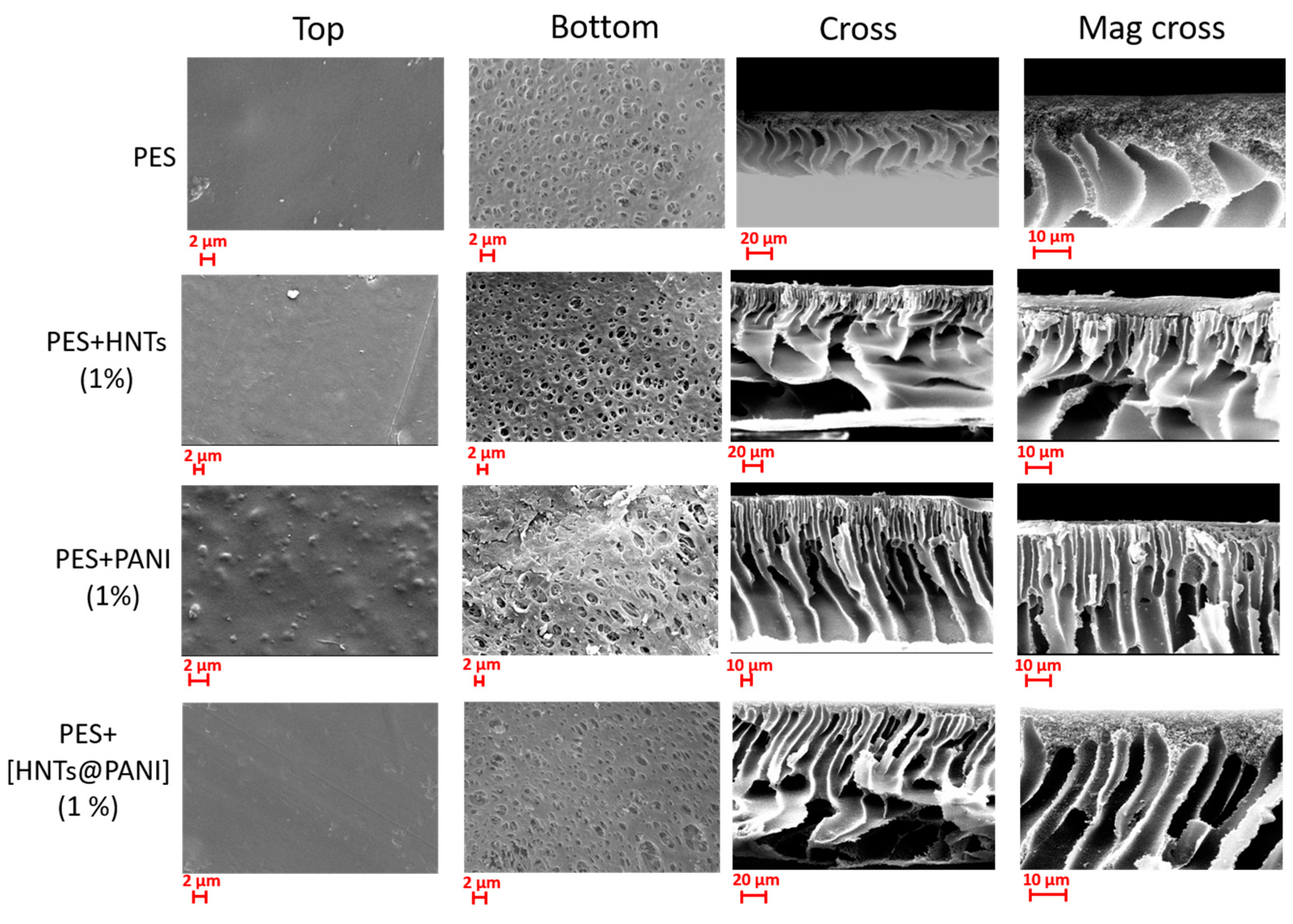 Nanomaterials 13 02970 g002