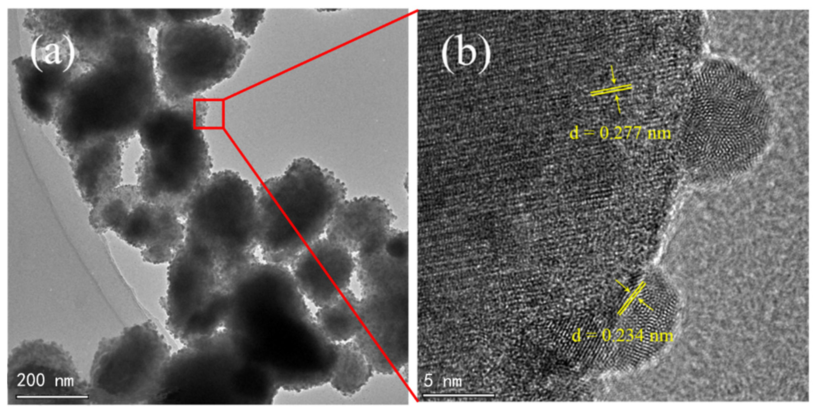 Nanomaterials 13 02972 g002