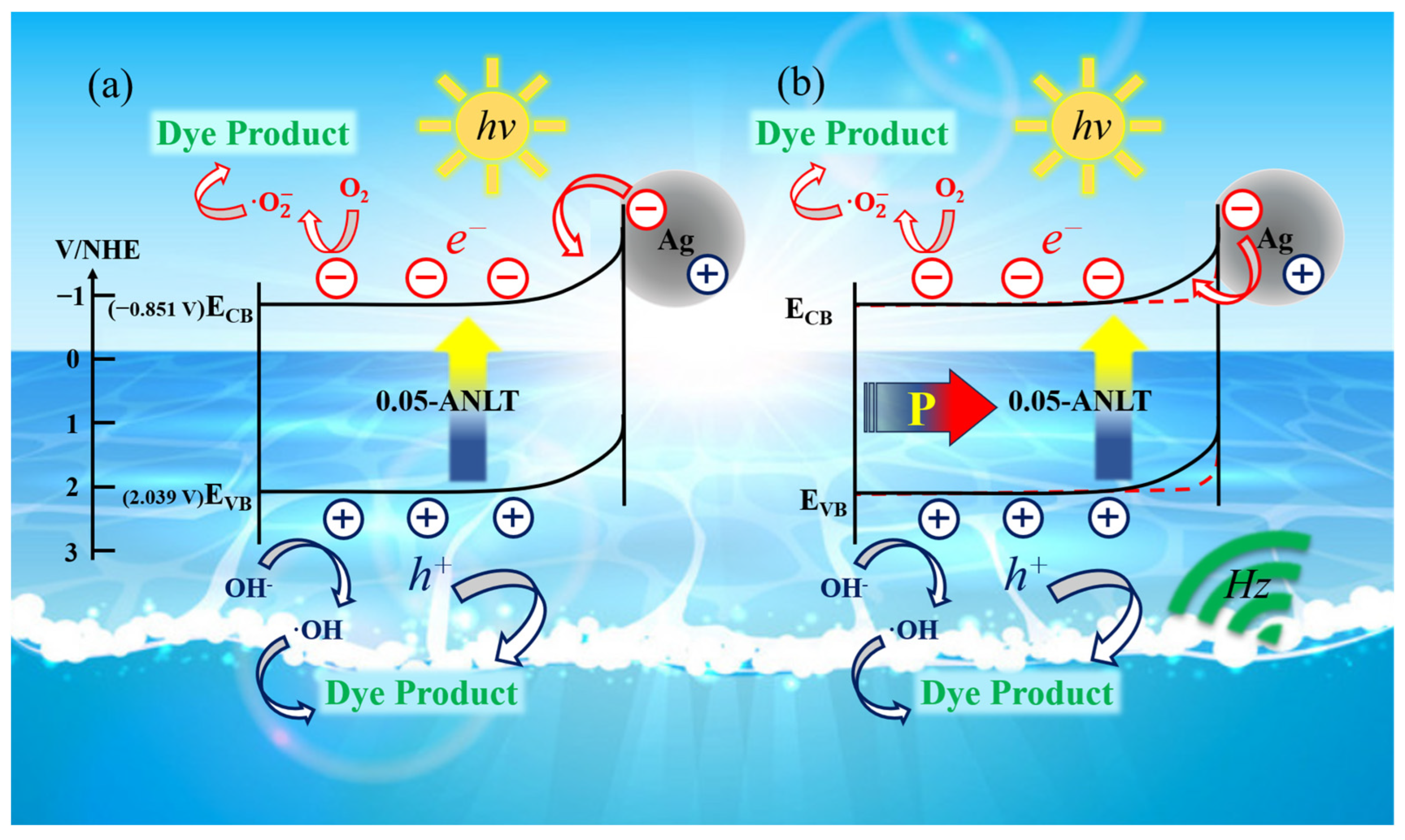 Nanomaterials 13 02972 g010