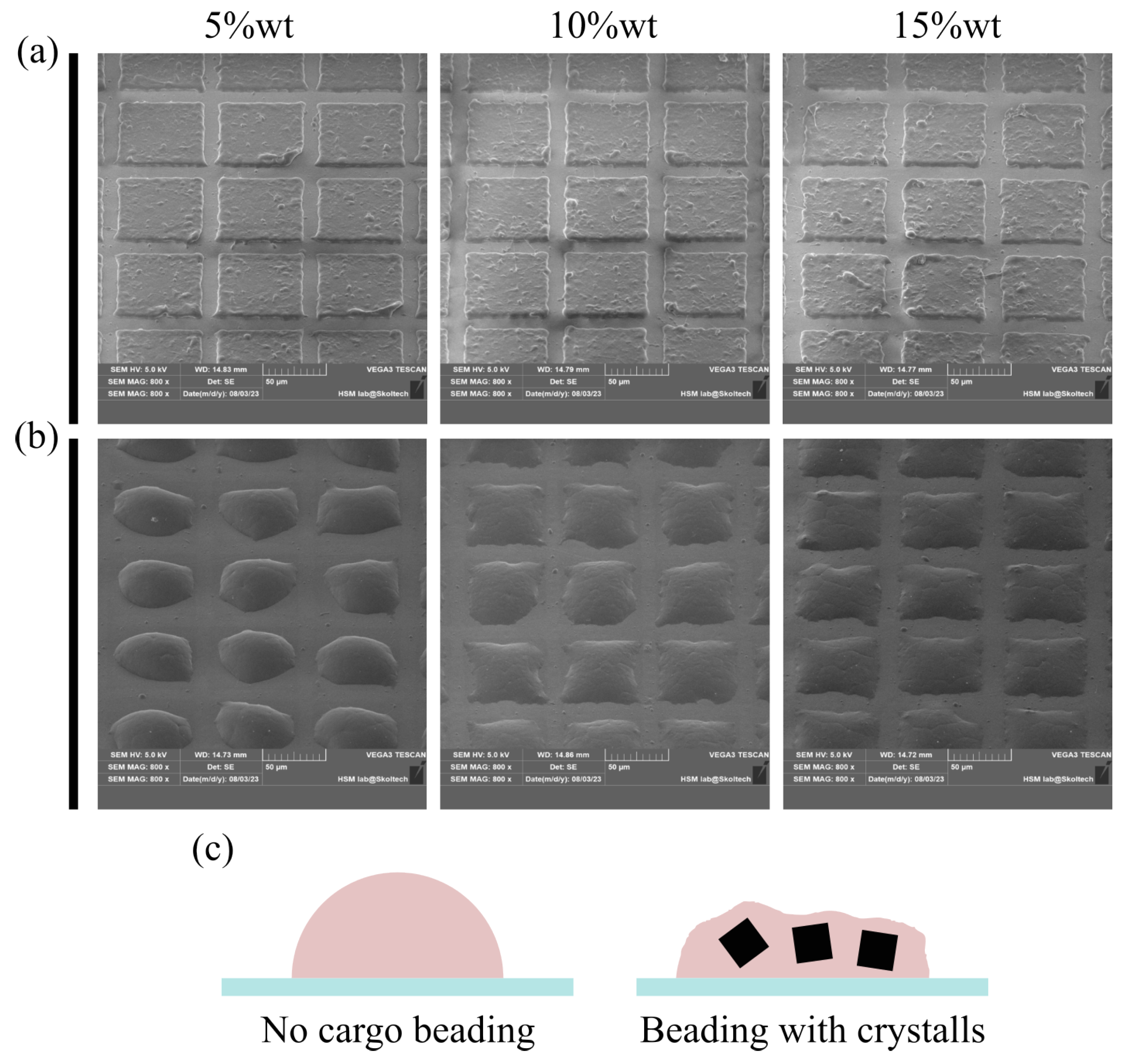 Nanomaterials 13 02976 g003