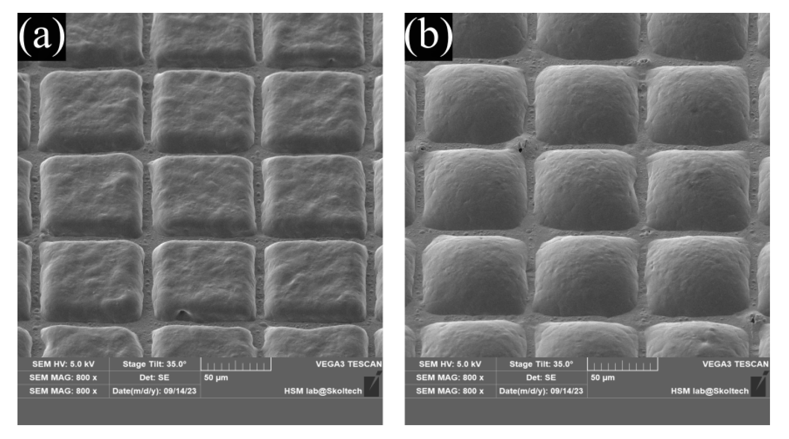 Nanomaterials 13 02976 g004