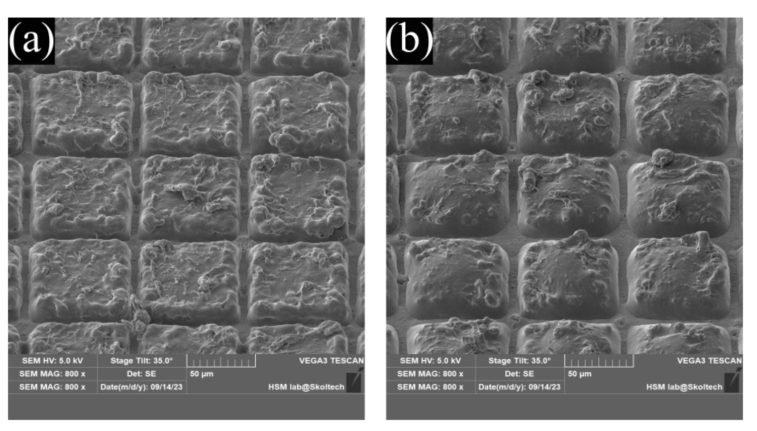 Nanomaterials 13 02976 g005