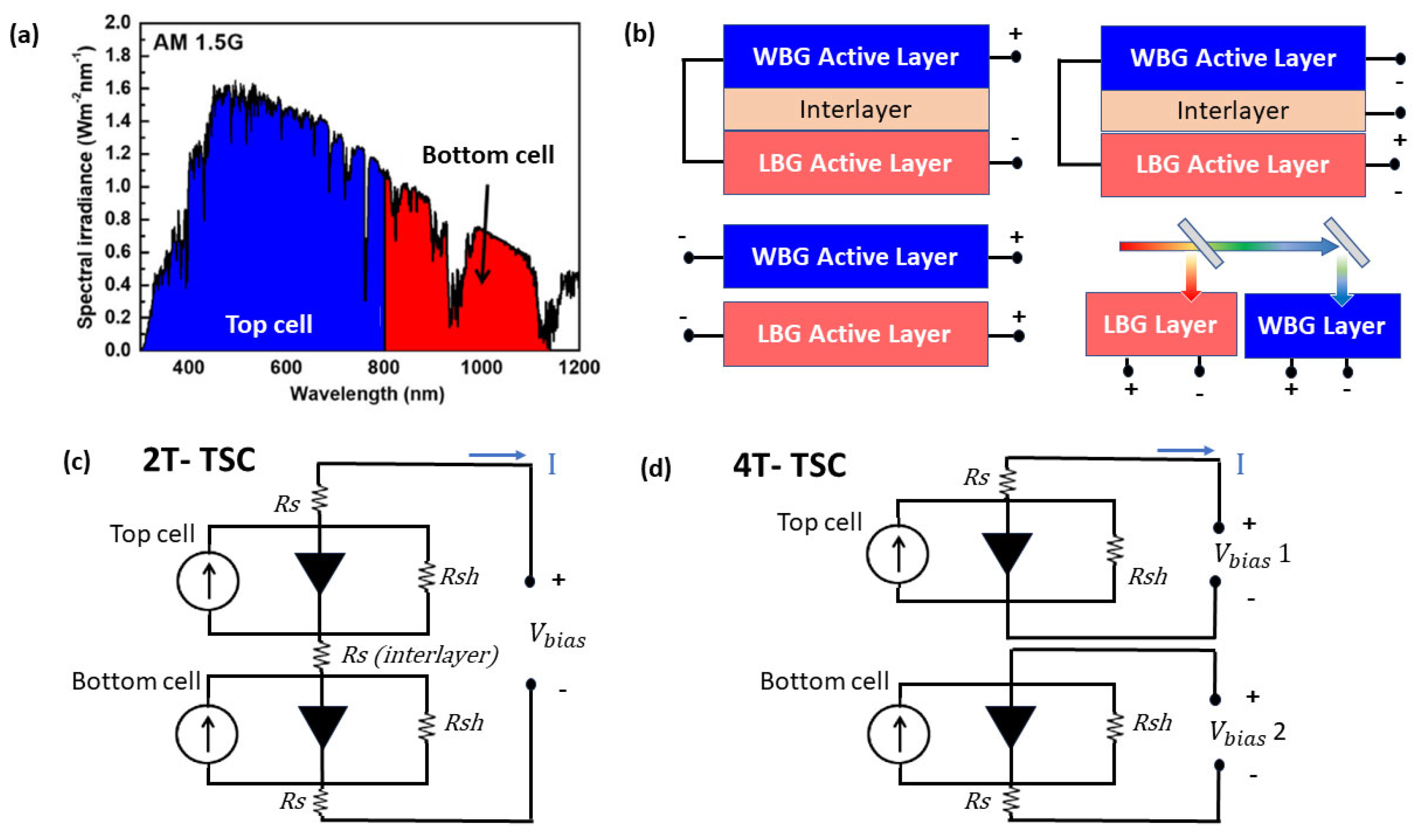 Nanomaterials 13 02985 g001