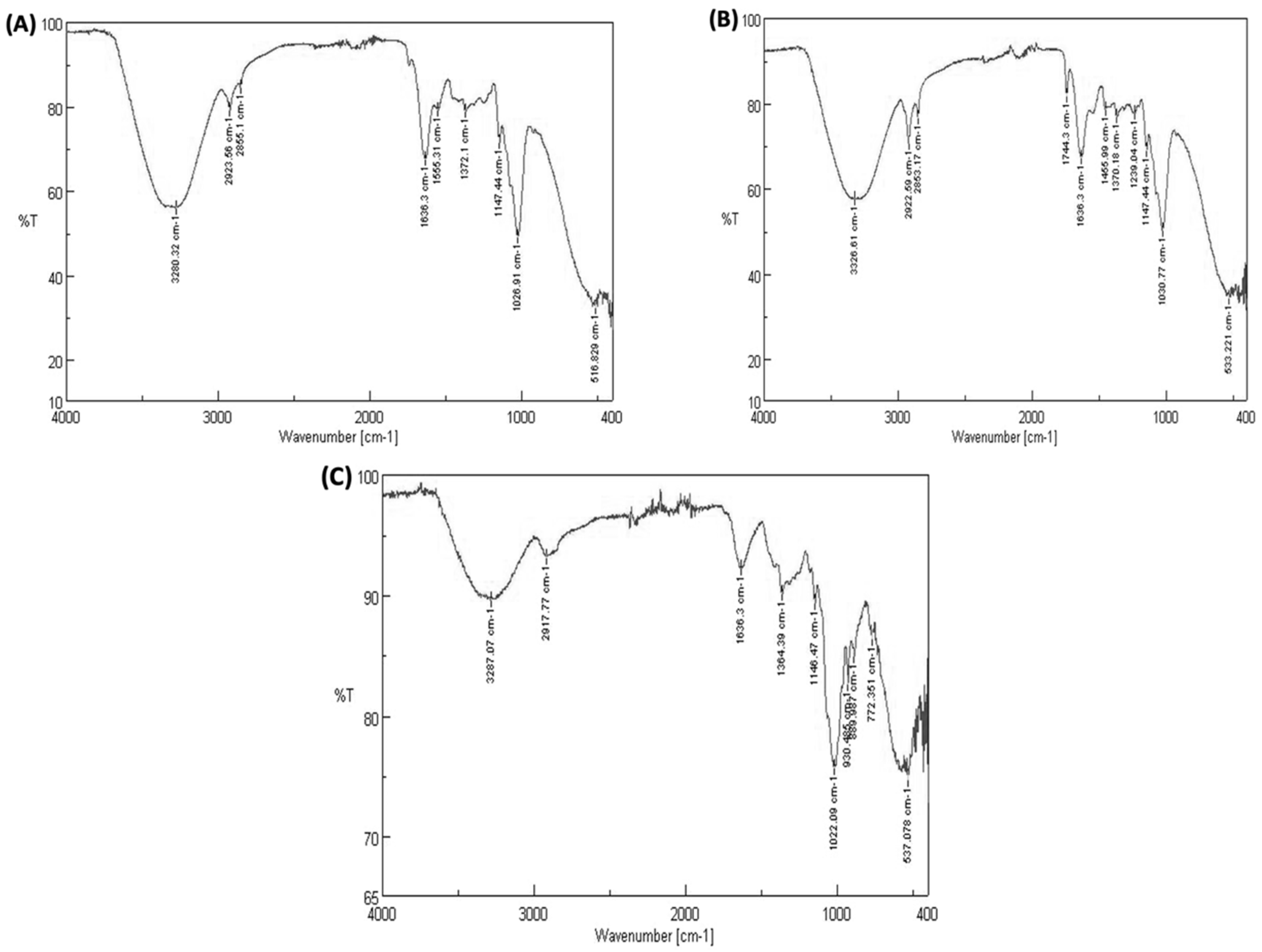 Nanomaterials 13 02990 g005