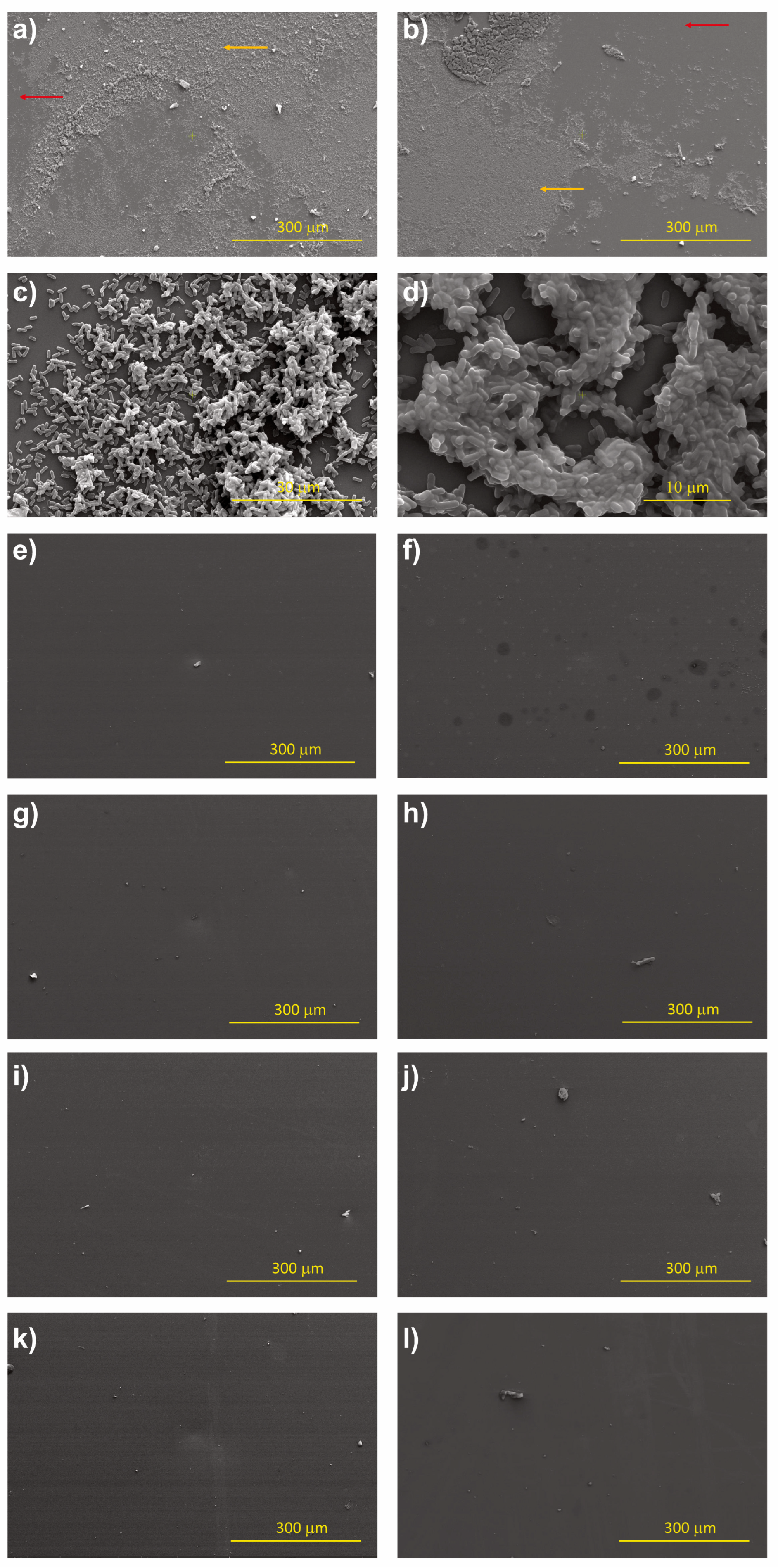 Nanomaterials 13 02992 g012 Nanomaterials 13 02992 g012