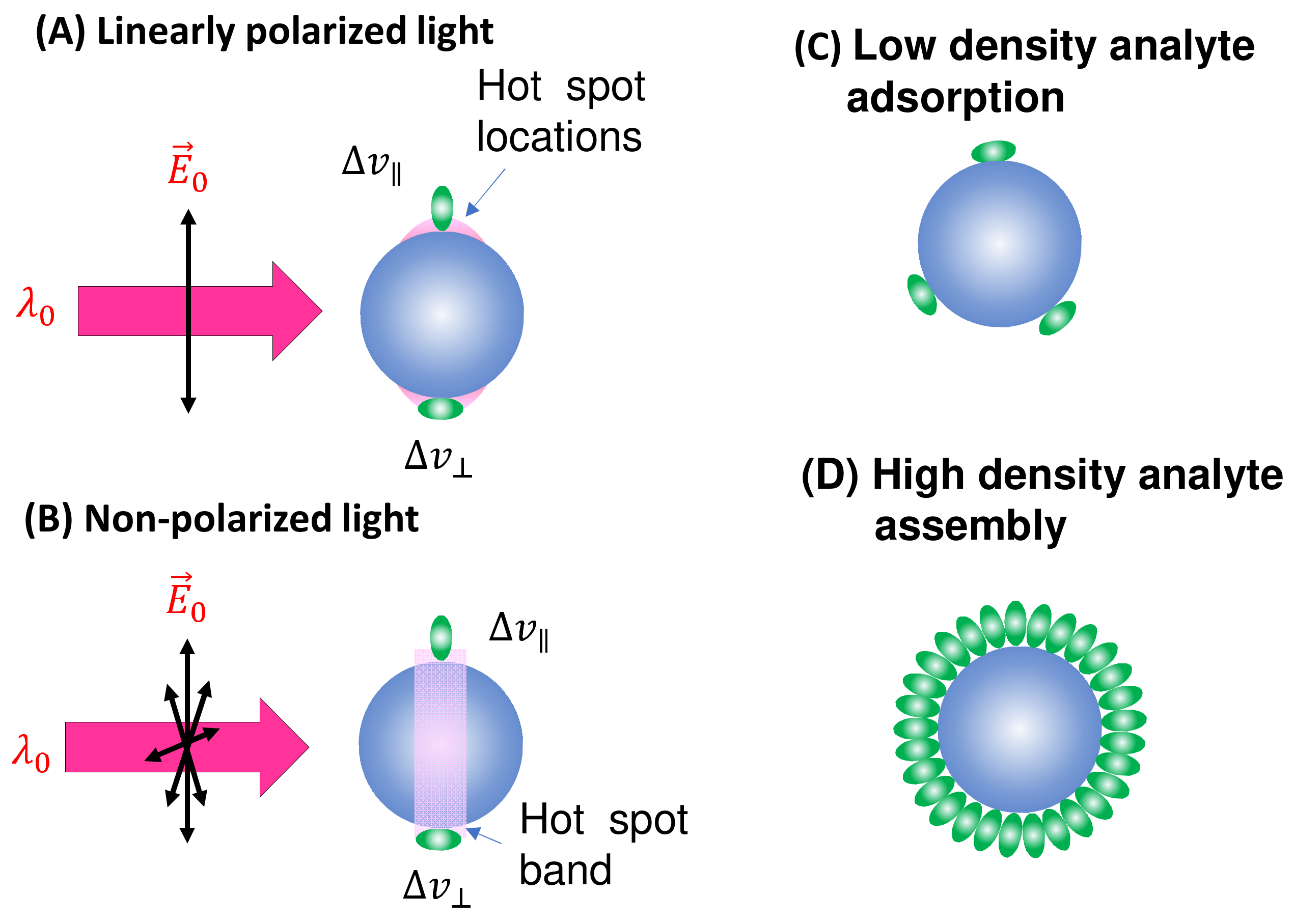 Nanomaterials 13 02998 g002