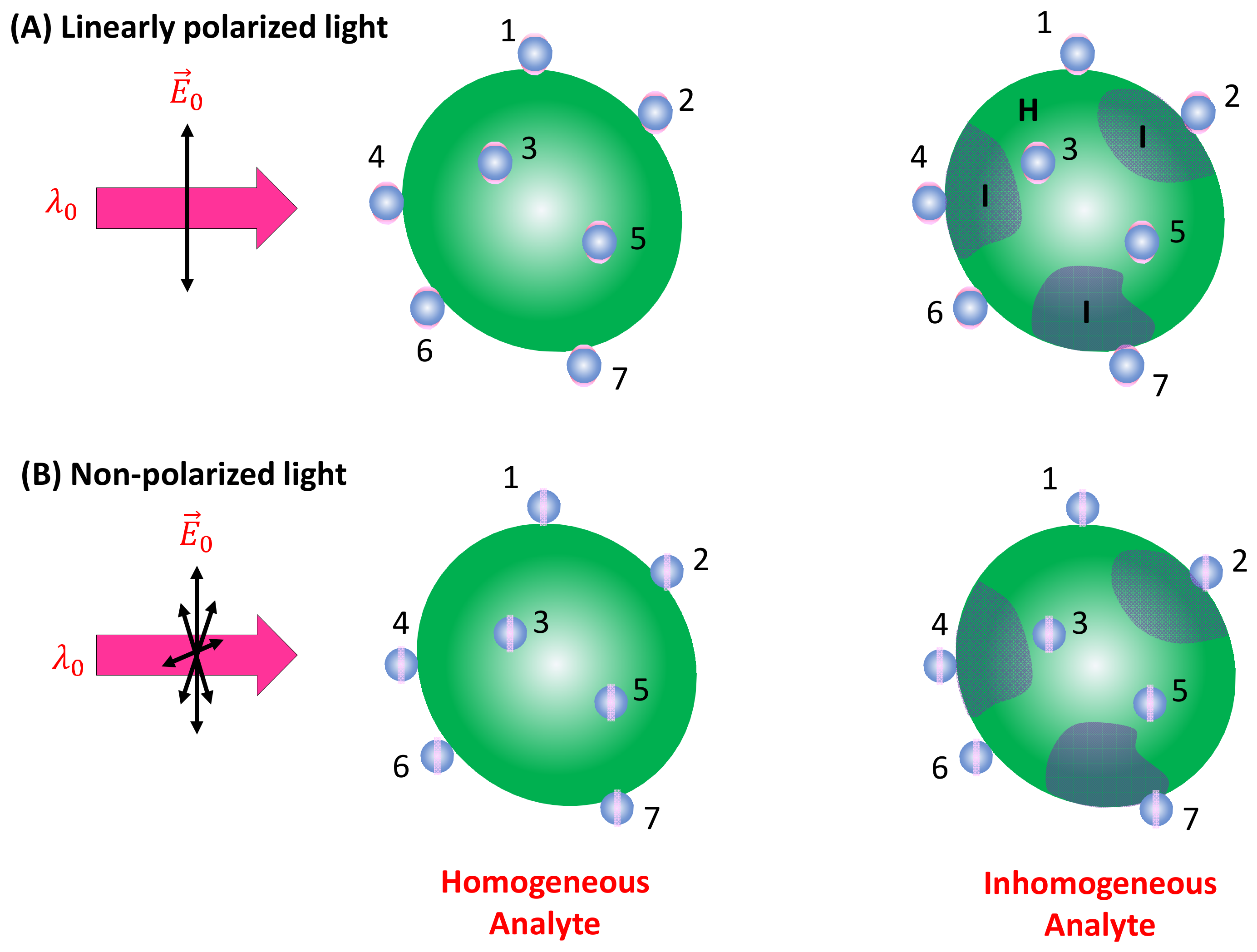 Nanomaterials 13 02998 g005