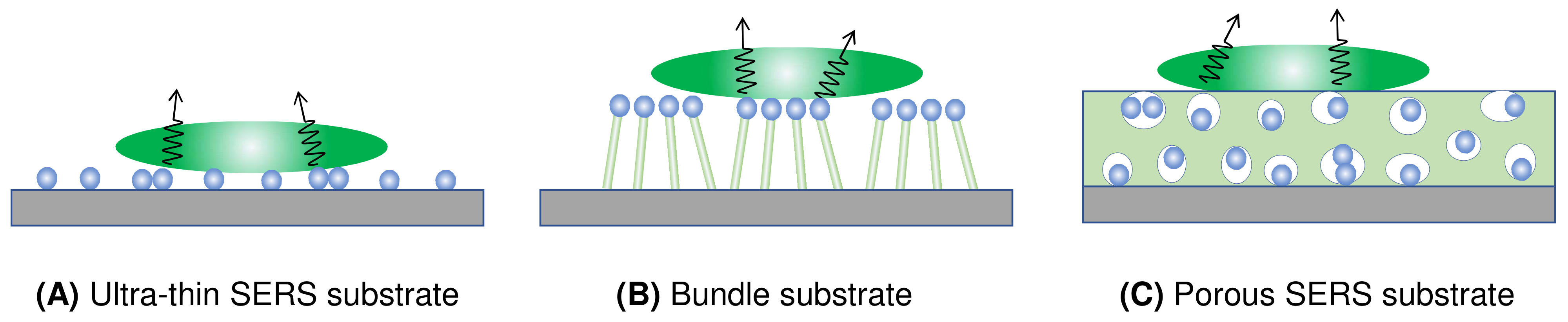 Nanomaterials 13 02998 g010