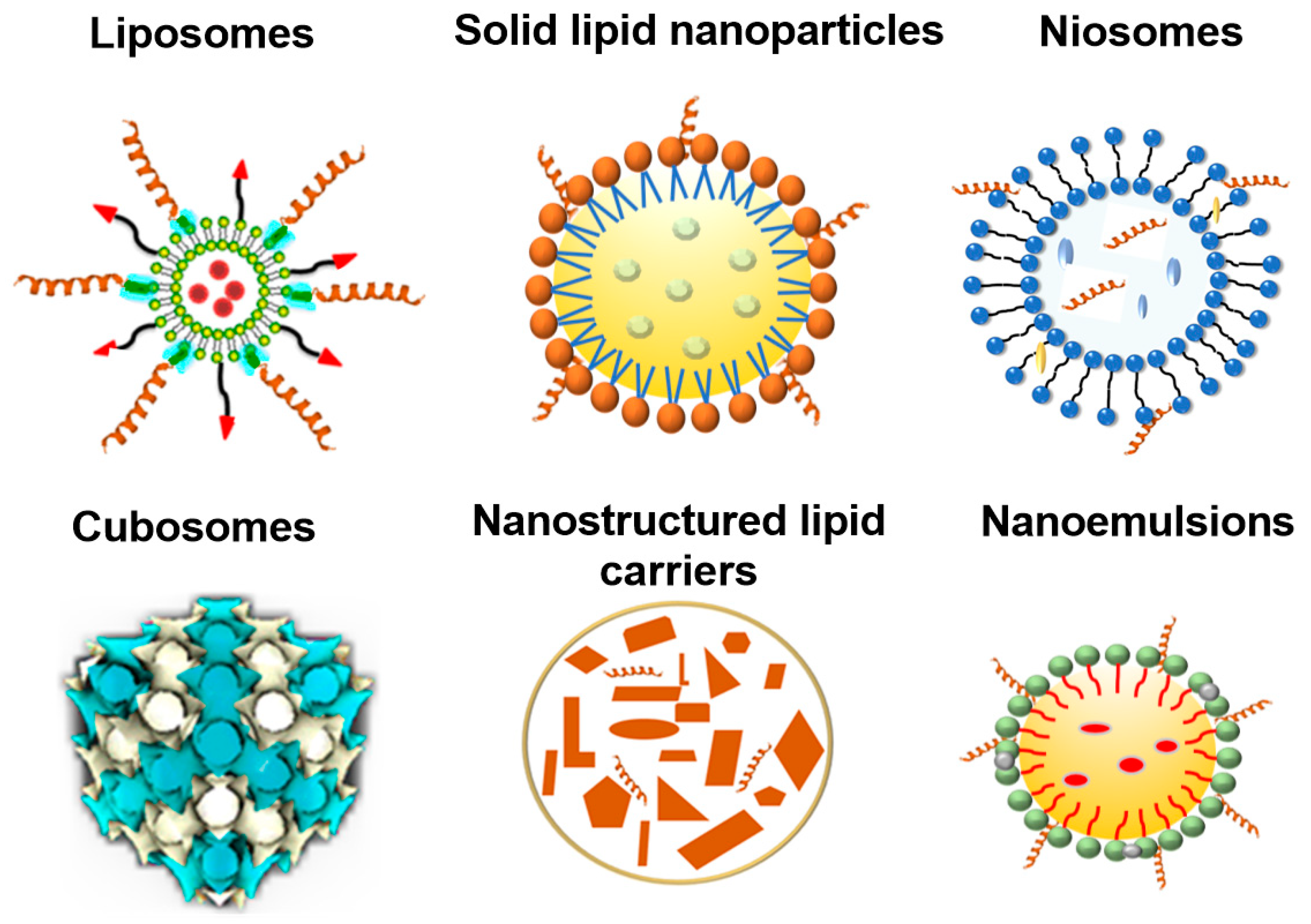 Nanomaterials 13 03004 g005