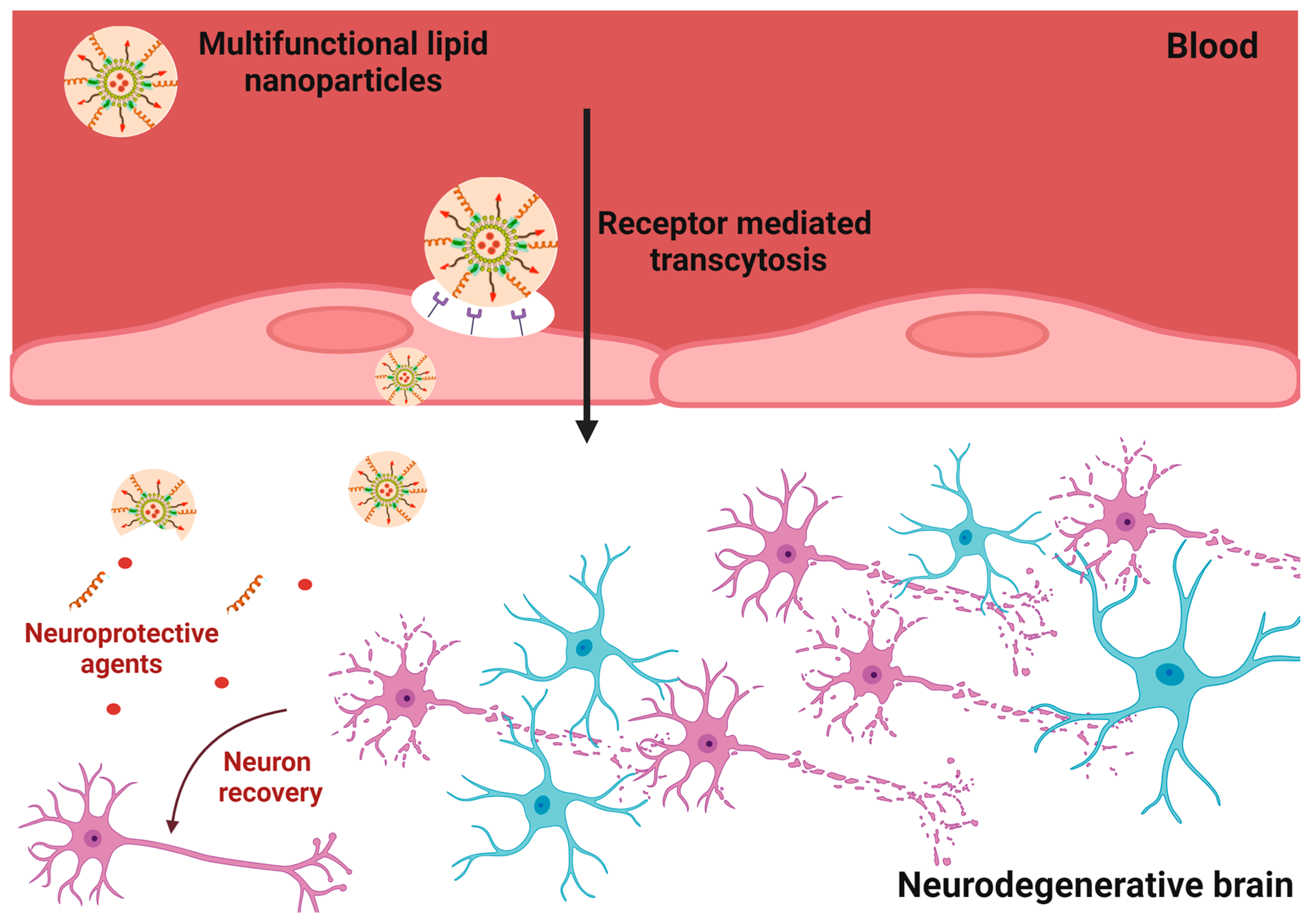 Nanomaterials 13 03004 g006