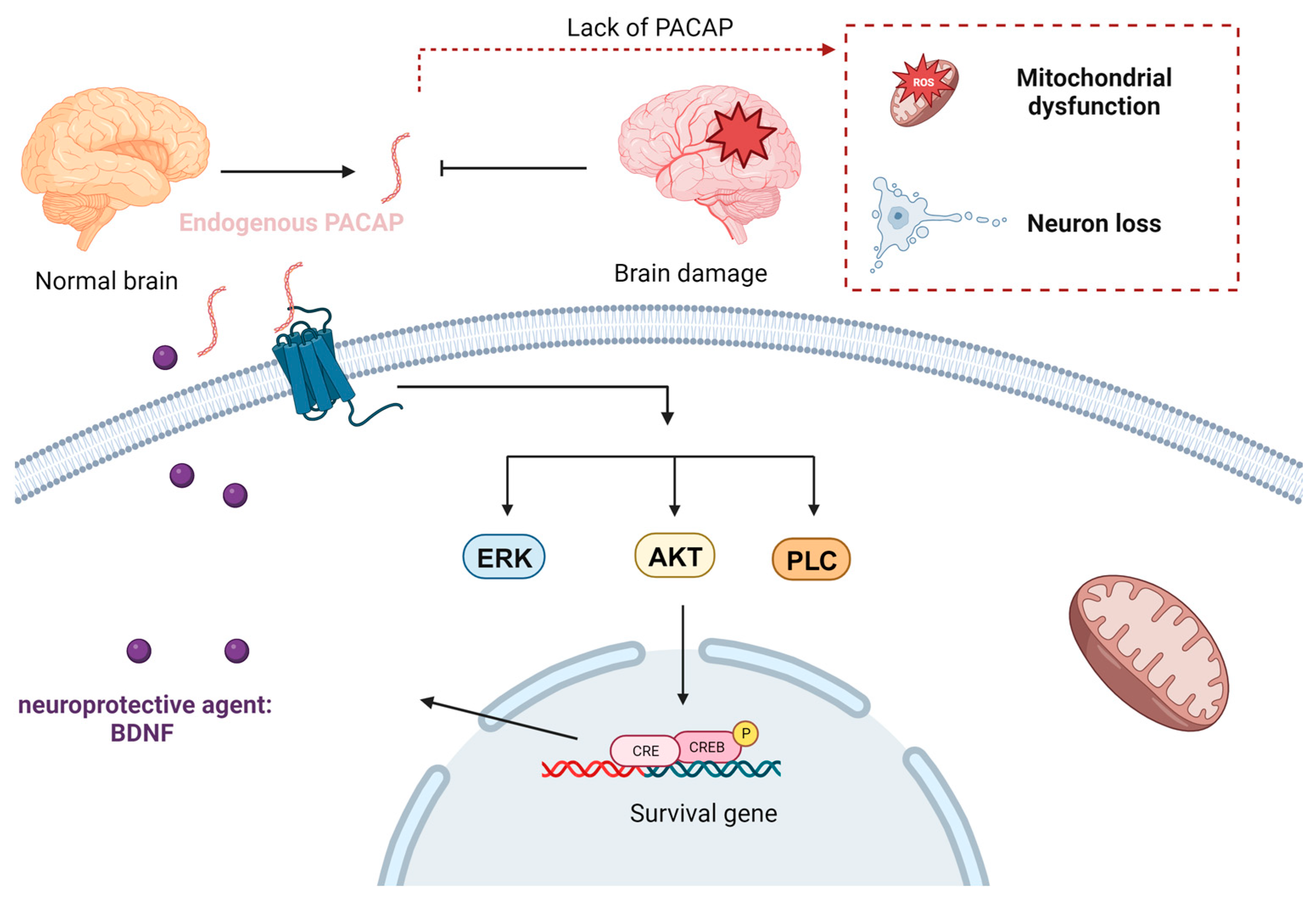 Nanomaterials 13 03004 g007