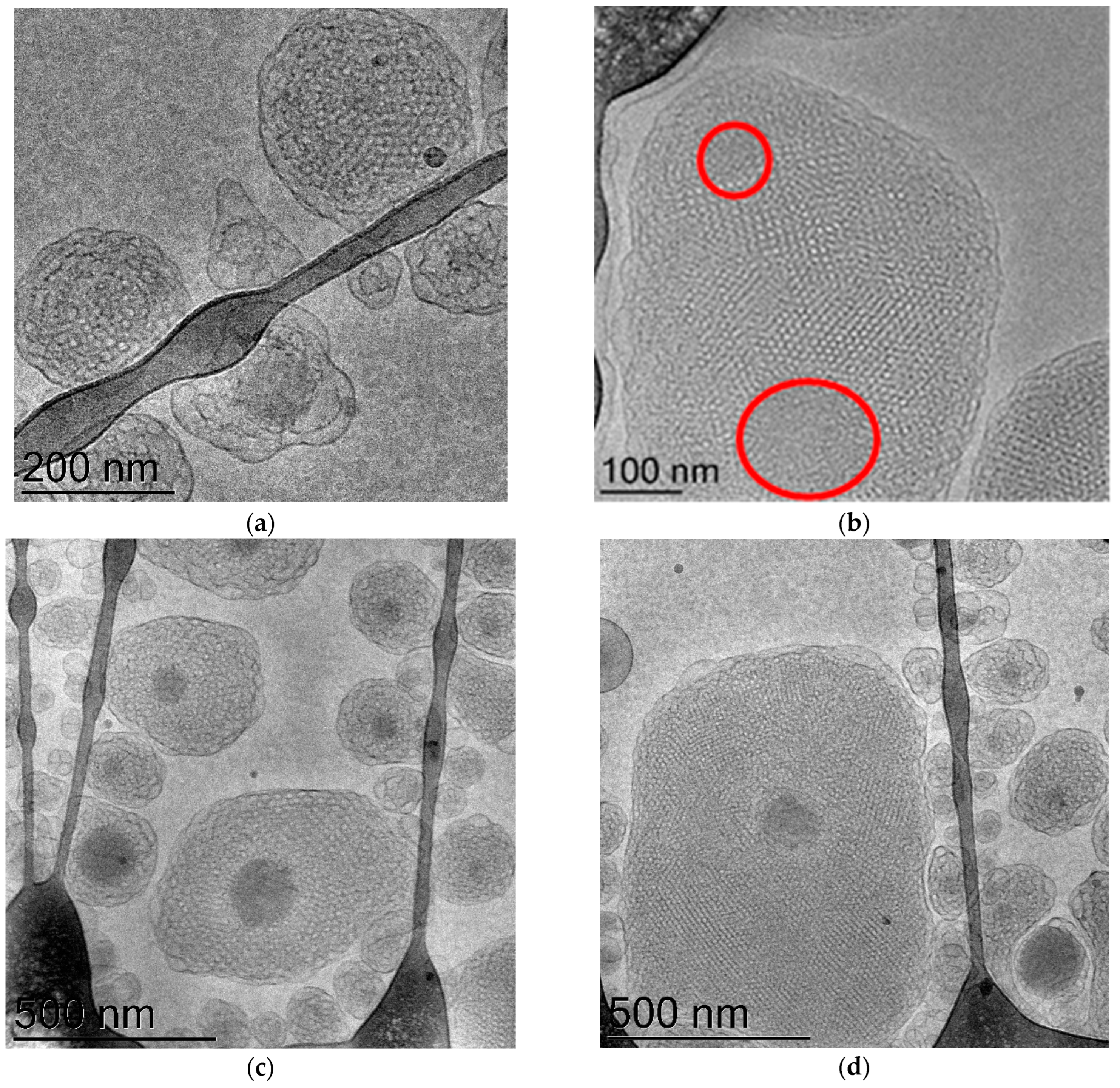 Nanomaterials 13 03004 g009