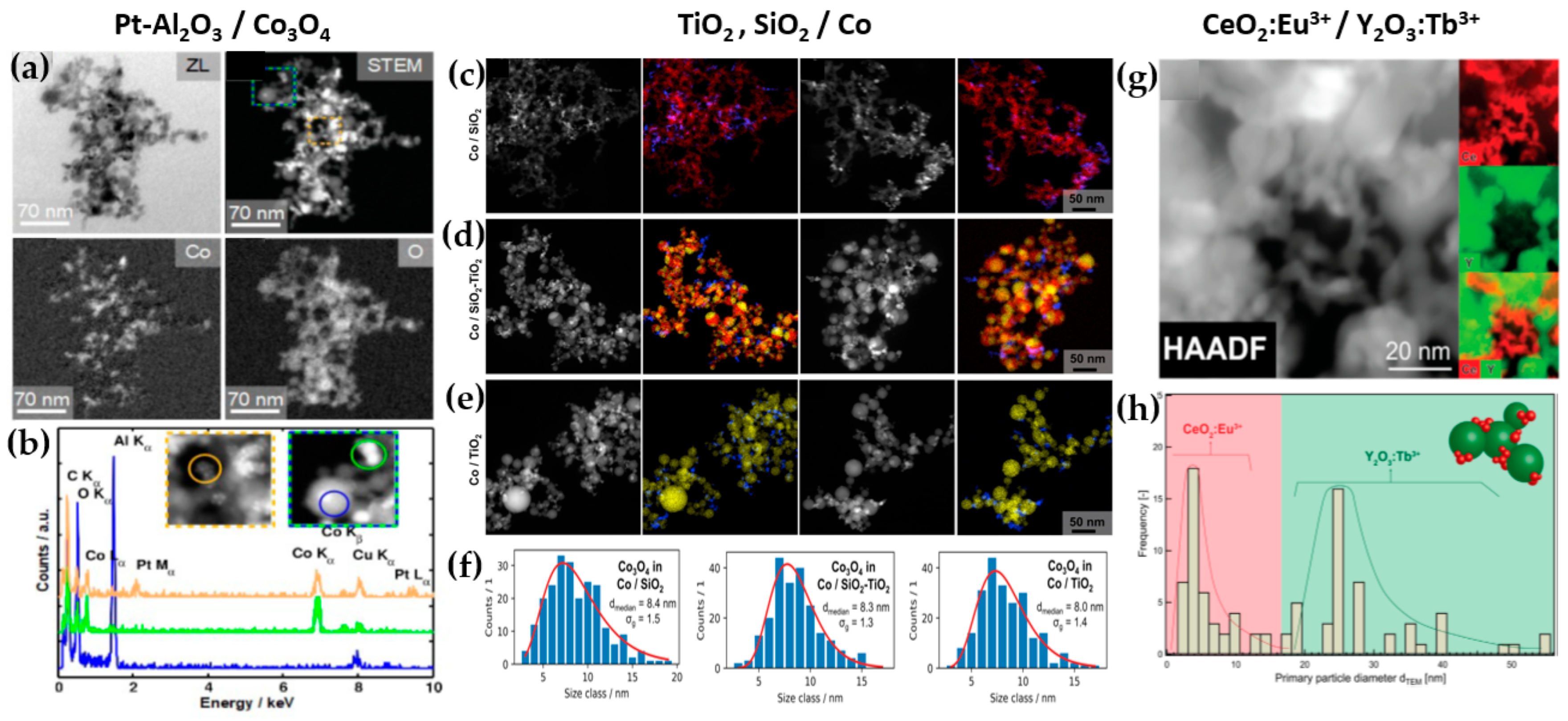 Nanomaterials 13 03006 g008