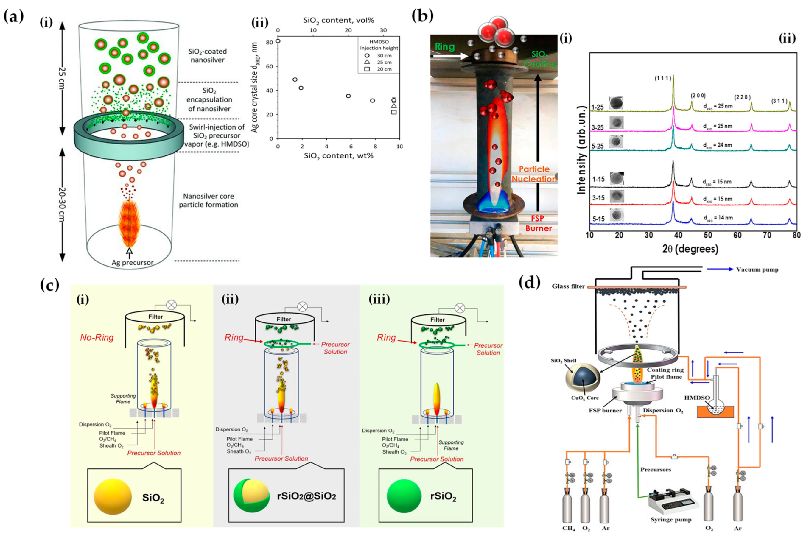 Nanomaterials 13 03006 g010