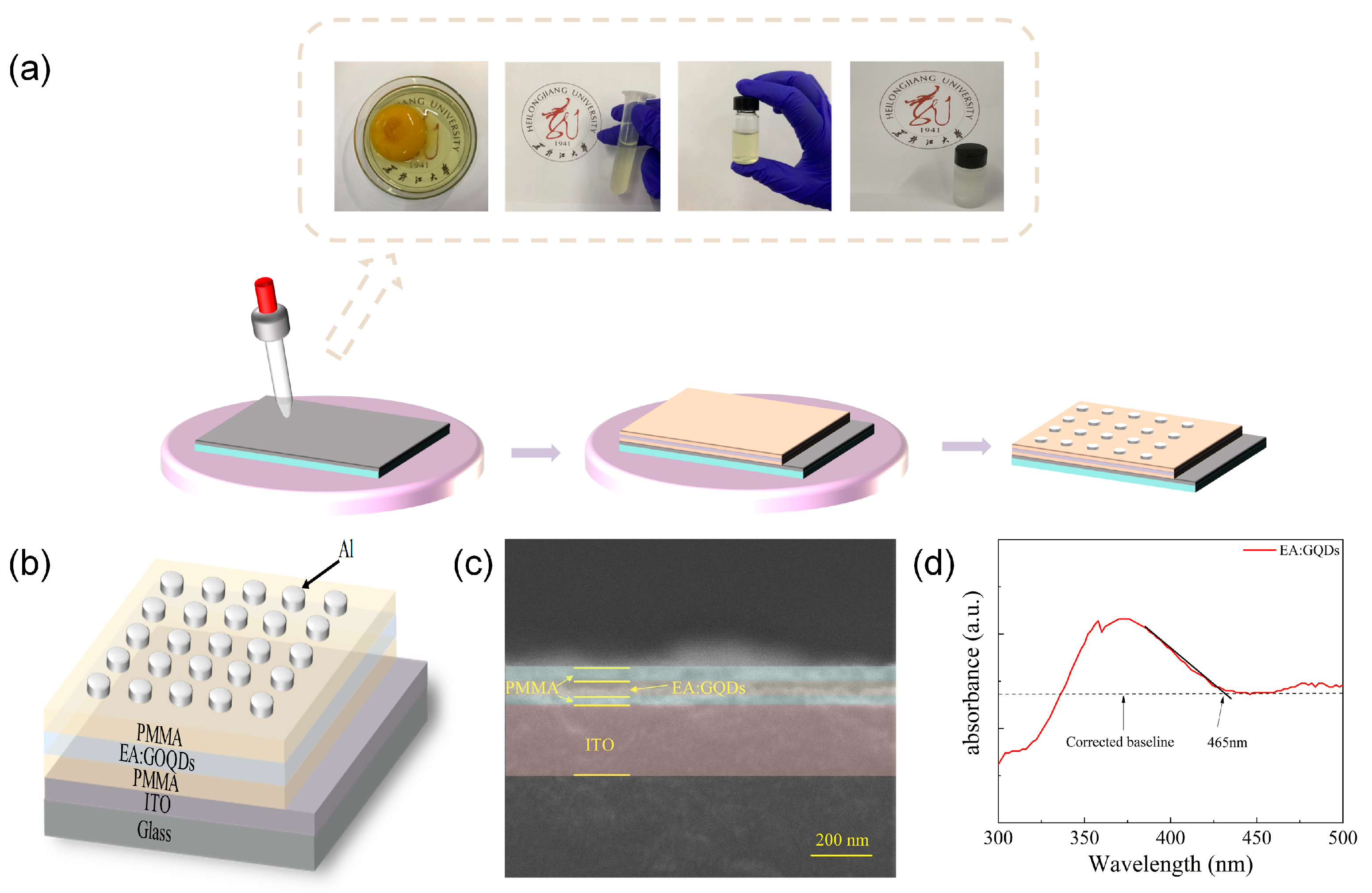 Nanomaterials 13 03012 g001