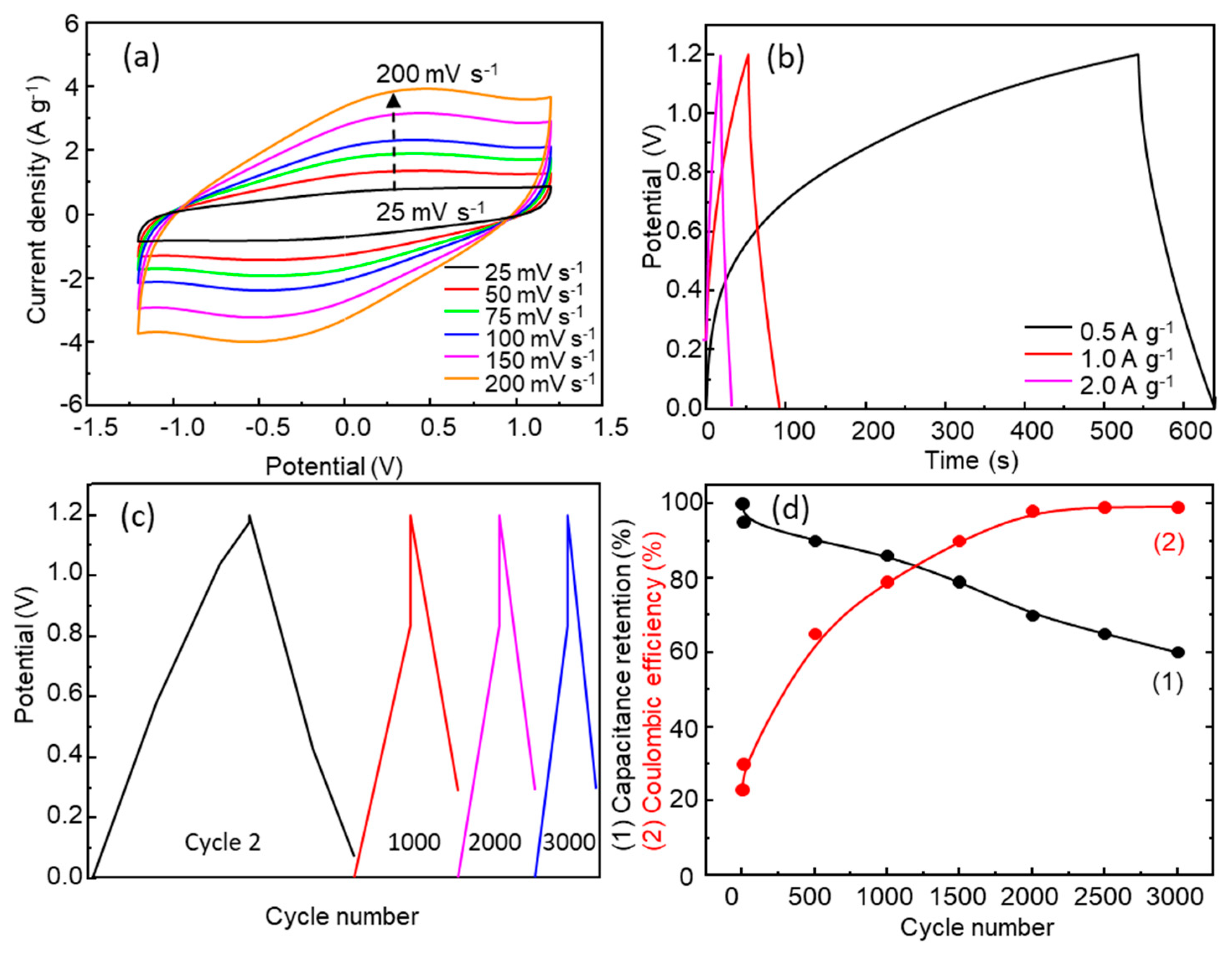 Nanomaterials 13 03017 g013