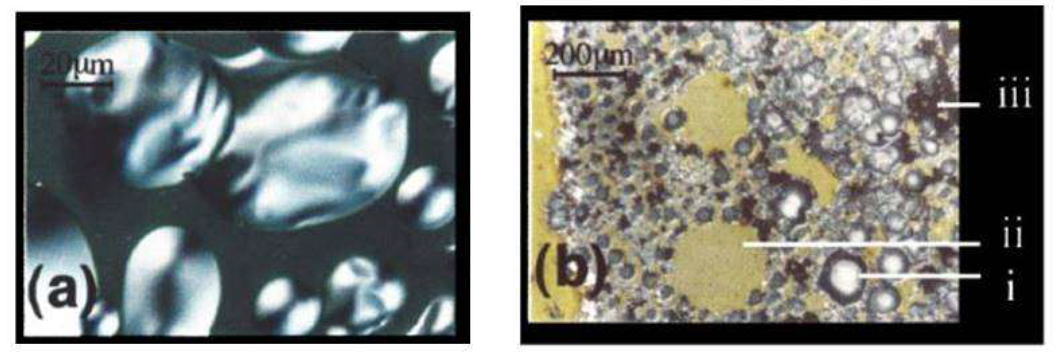 Nanomaterials 13 03020 g006