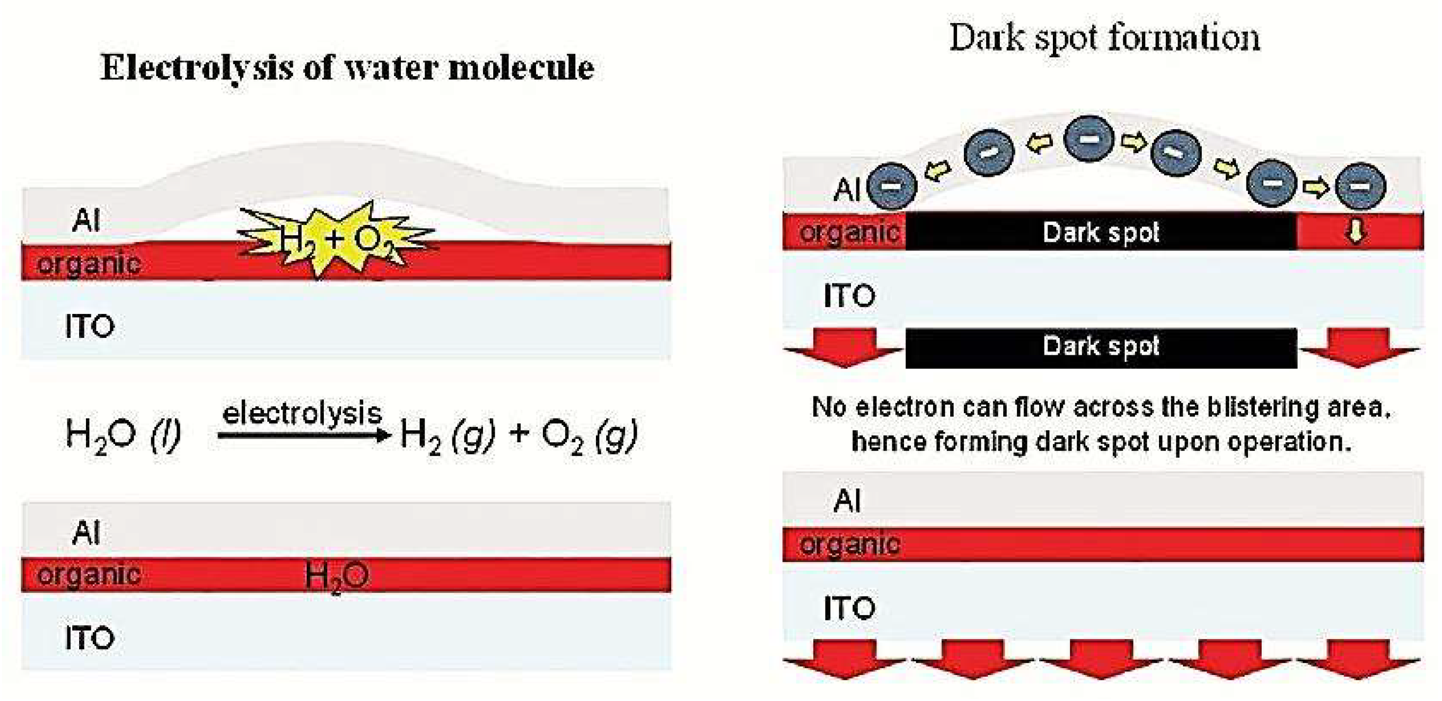 Nanomaterials 13 03020 g007