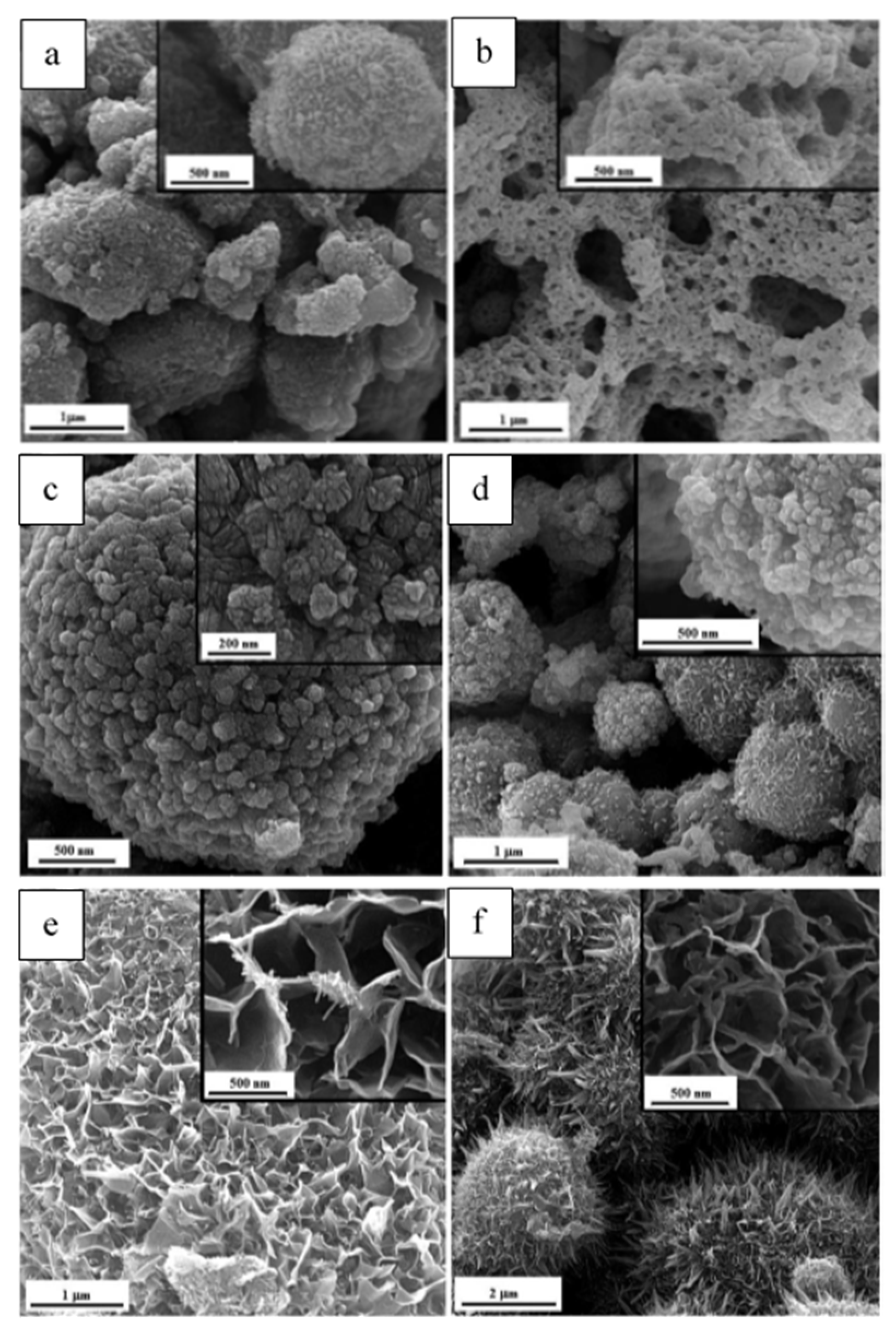 Nanomaterials 13 03030 g014