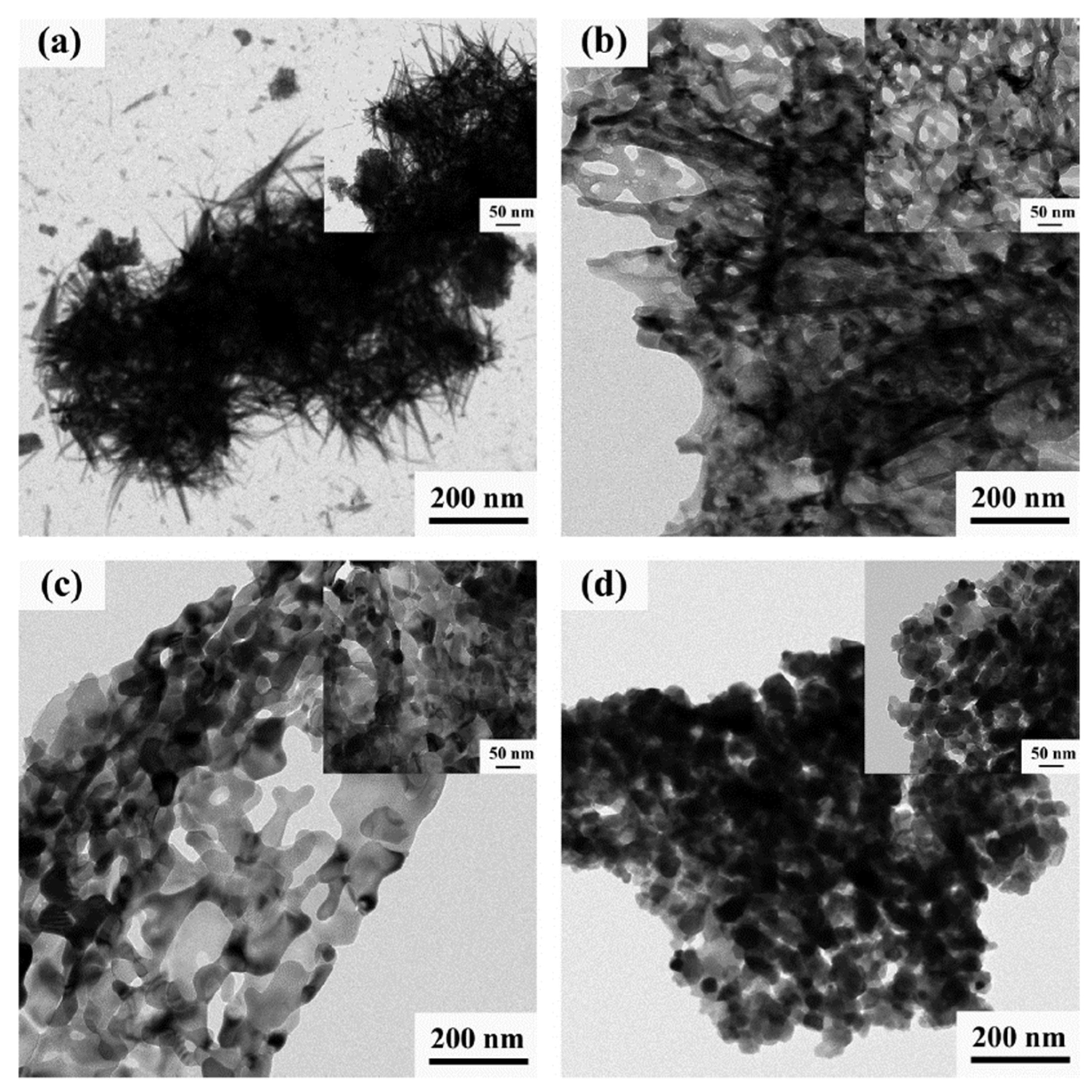 Nanomaterials 13 03030 g017