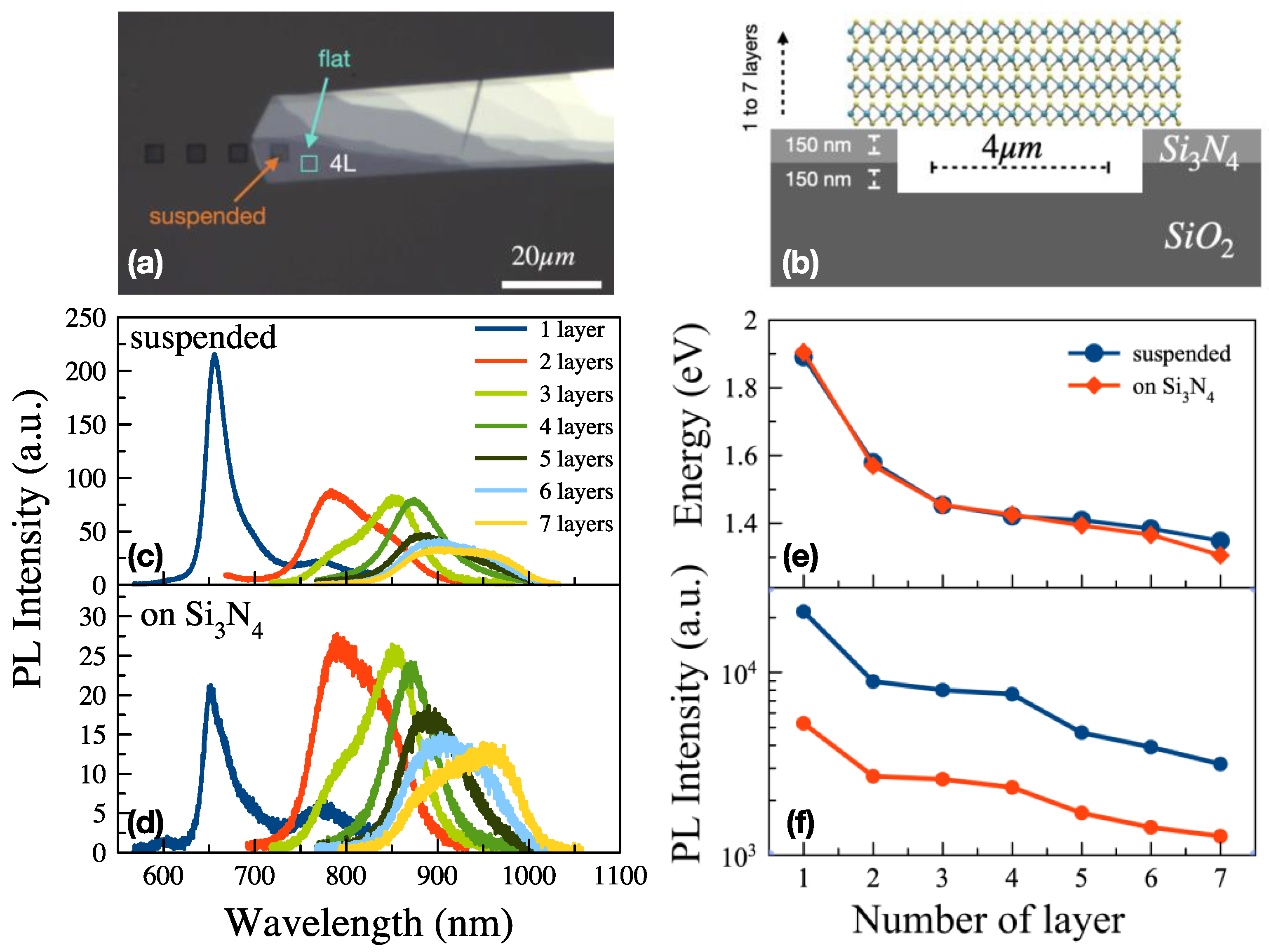 Nanomaterials 13 03034 g001