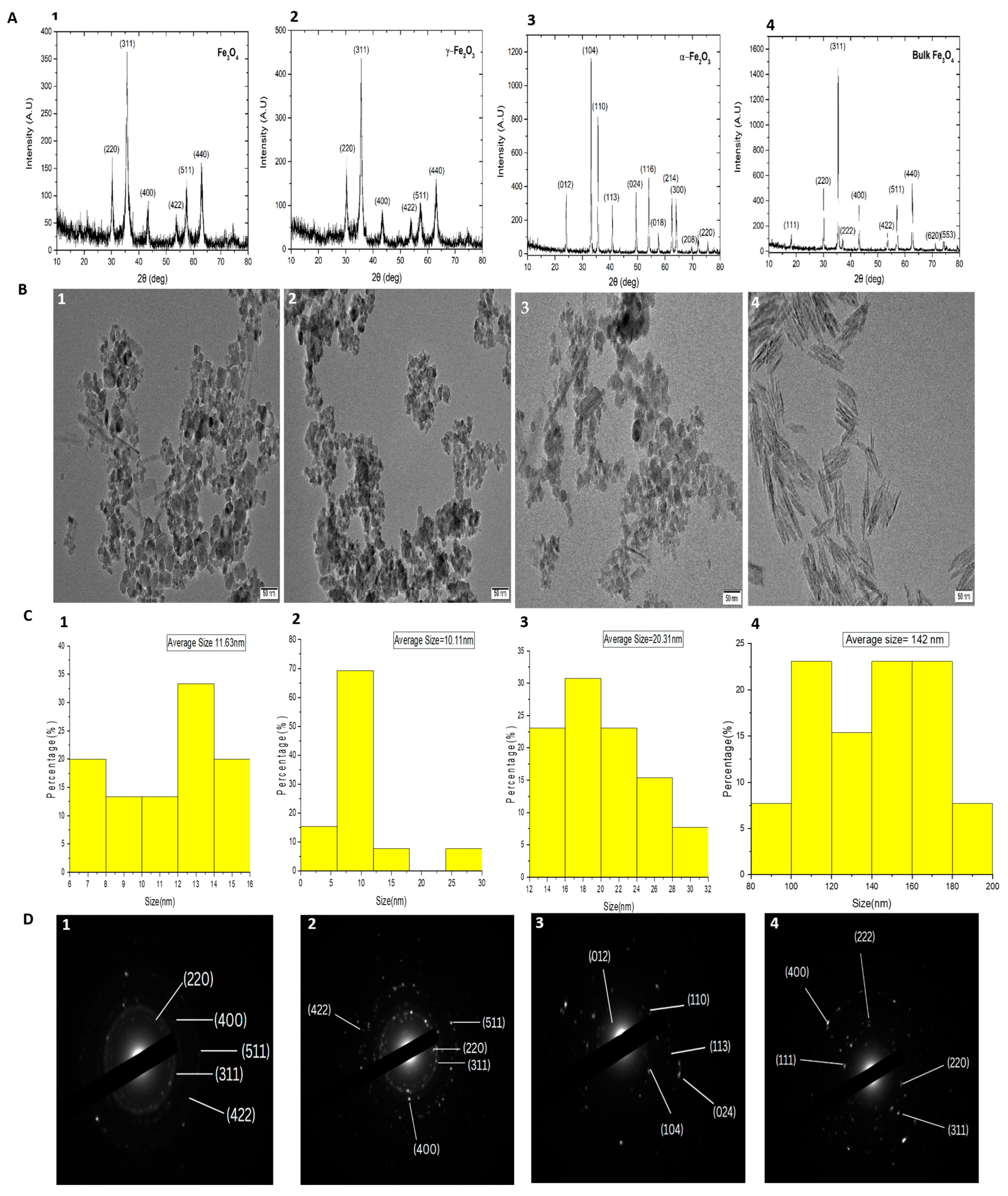 Nanomaterials 13 03036 g001