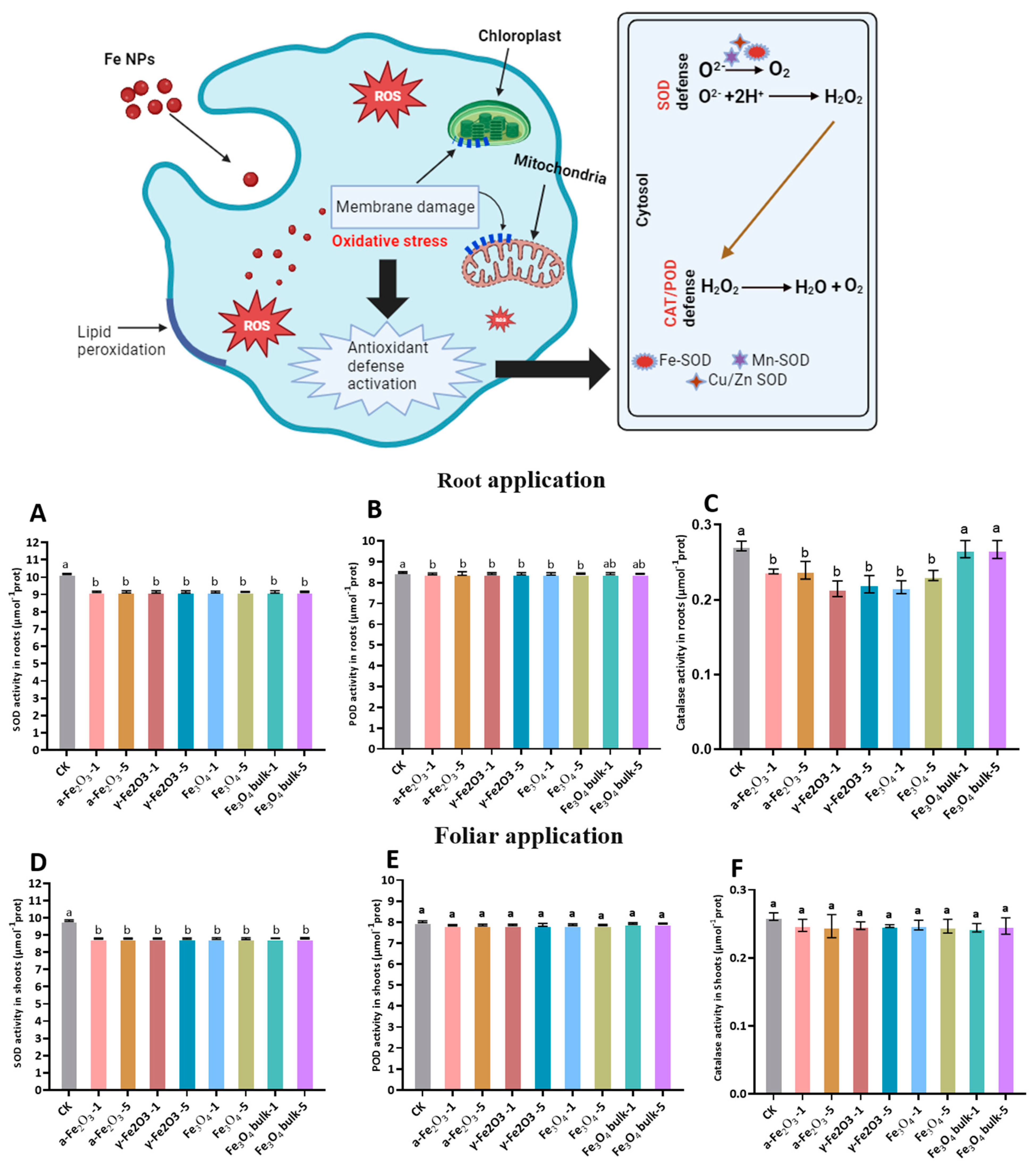 Nanomaterials 13 03036 g003