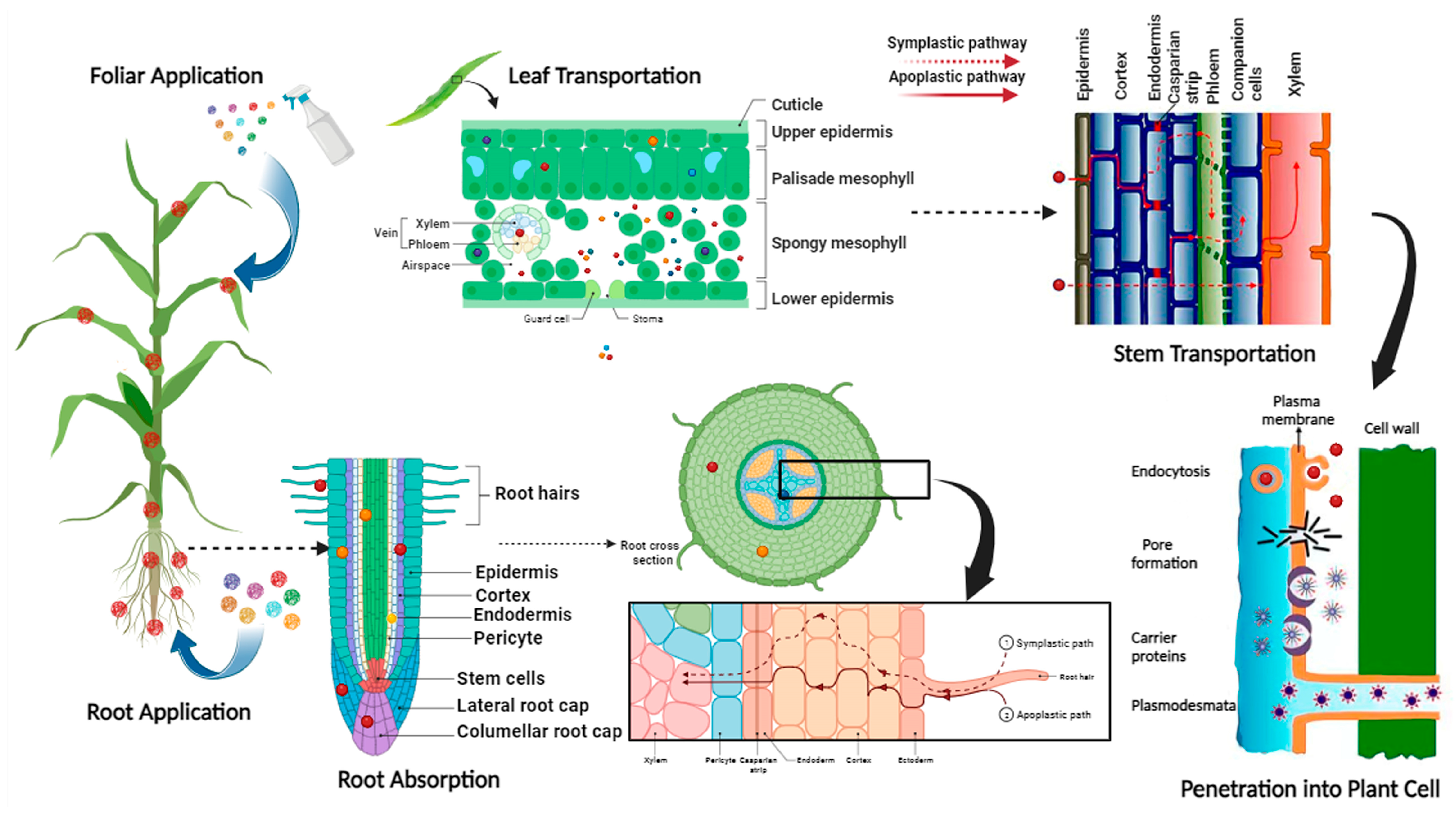 Nanomaterials 13 03036 g005