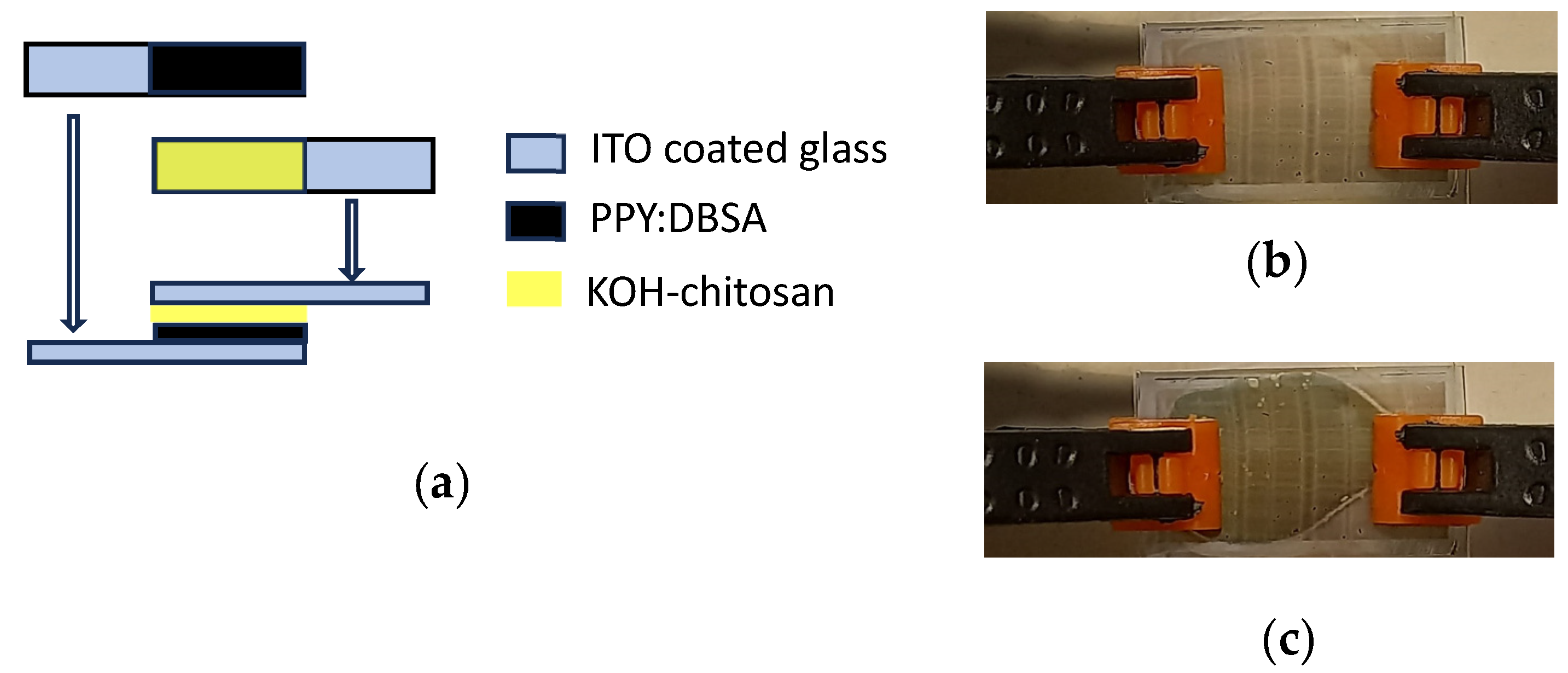 Nanomaterials 13 03040 g003