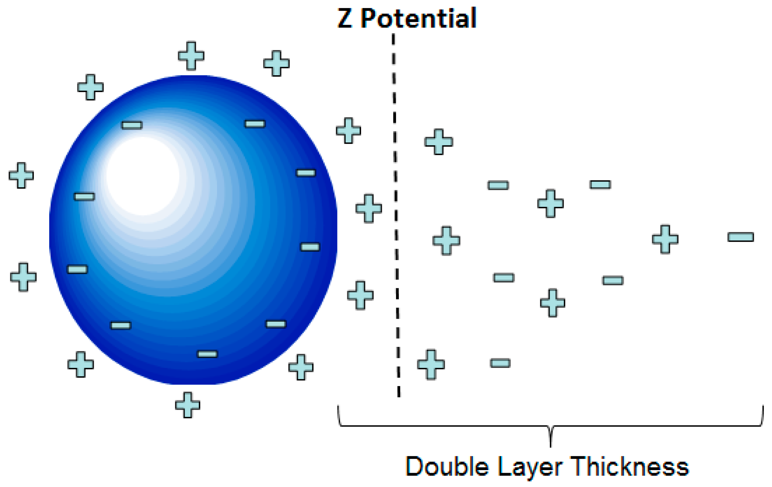 Nanomaterials 13 03045 g001