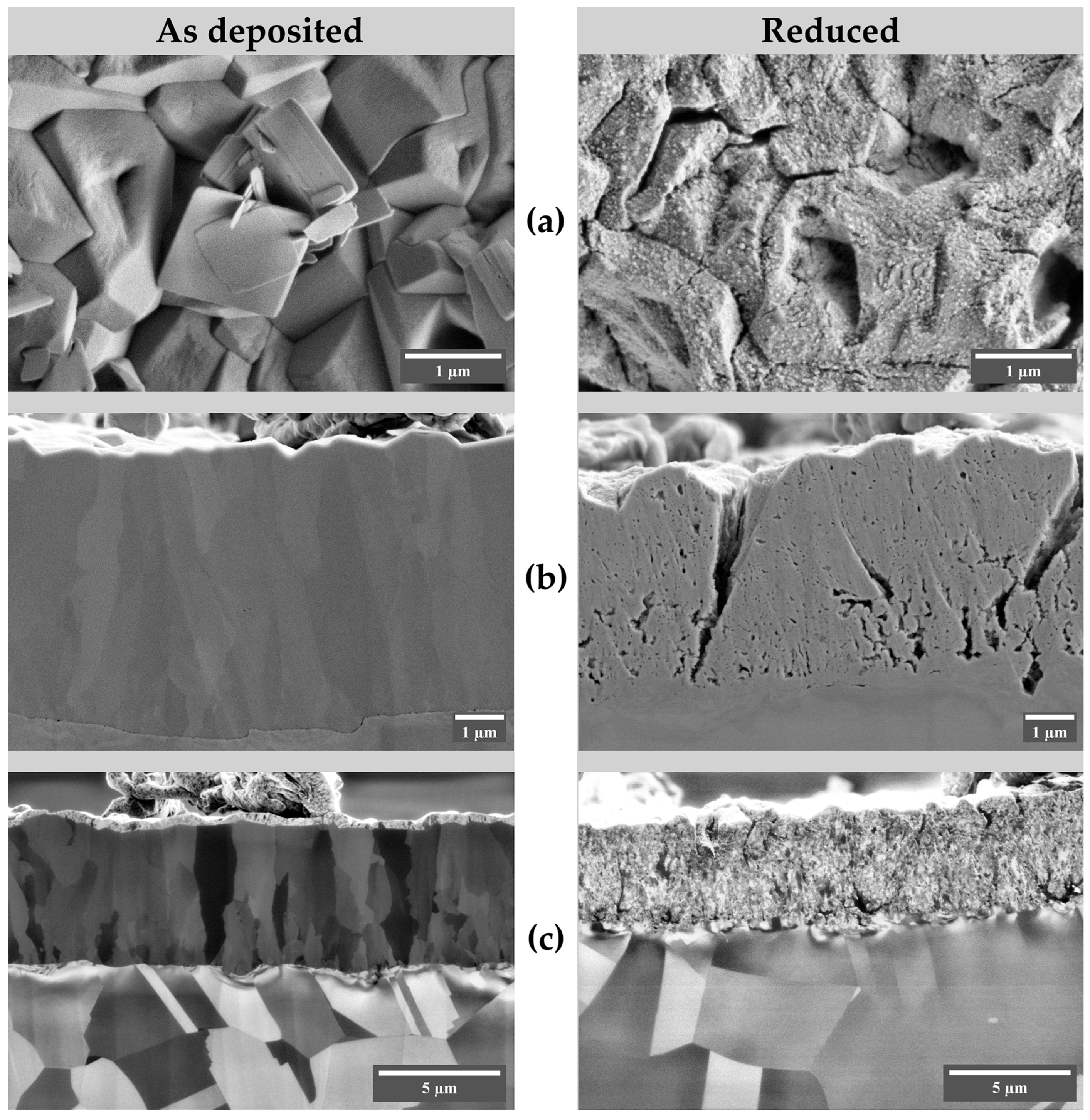 Nanomaterials 13 03064 g007