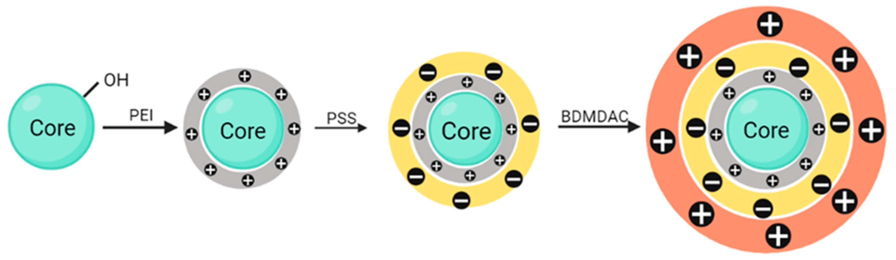 Nanomaterials 13 03067 g001