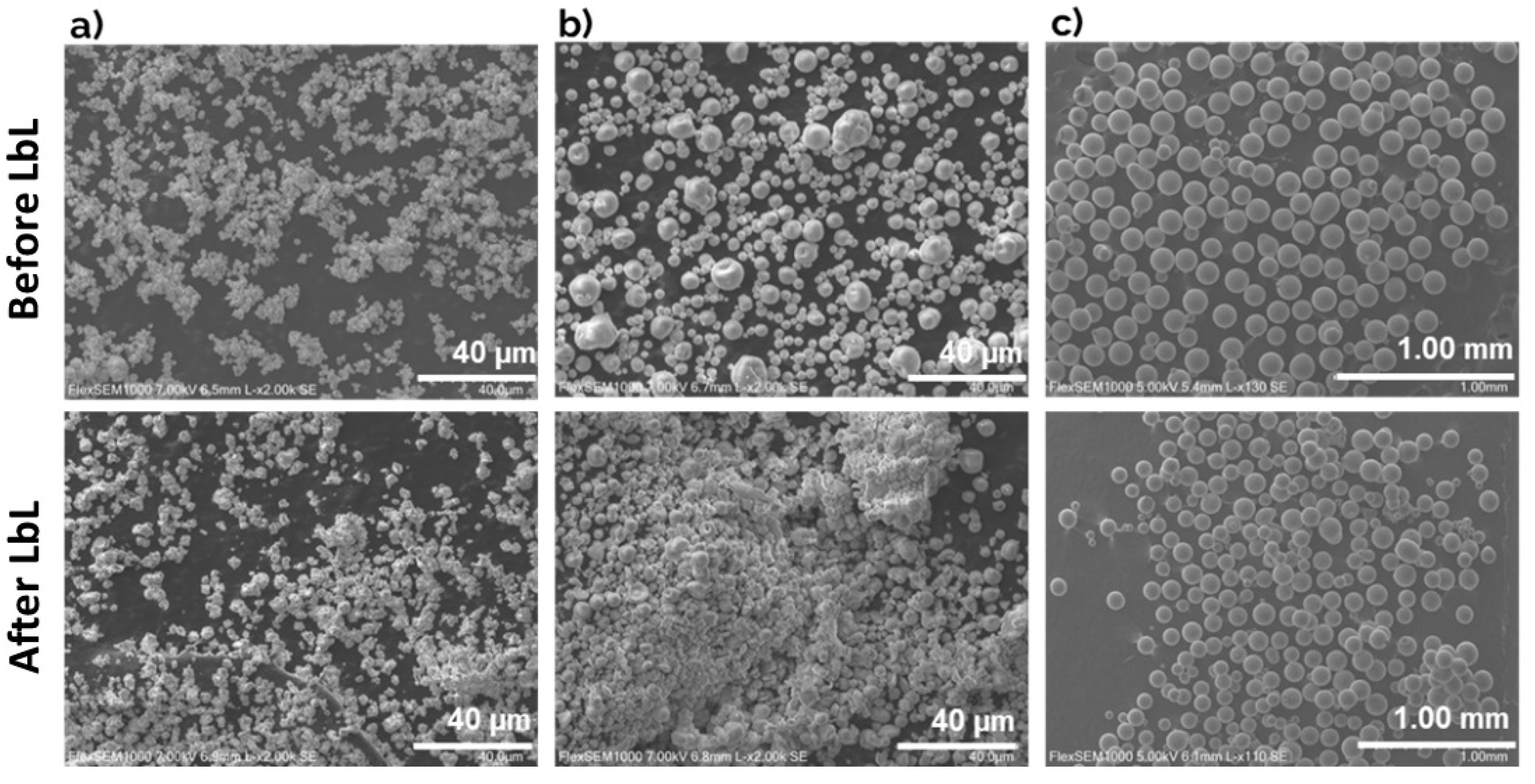 Nanomaterials 13 03067 g003