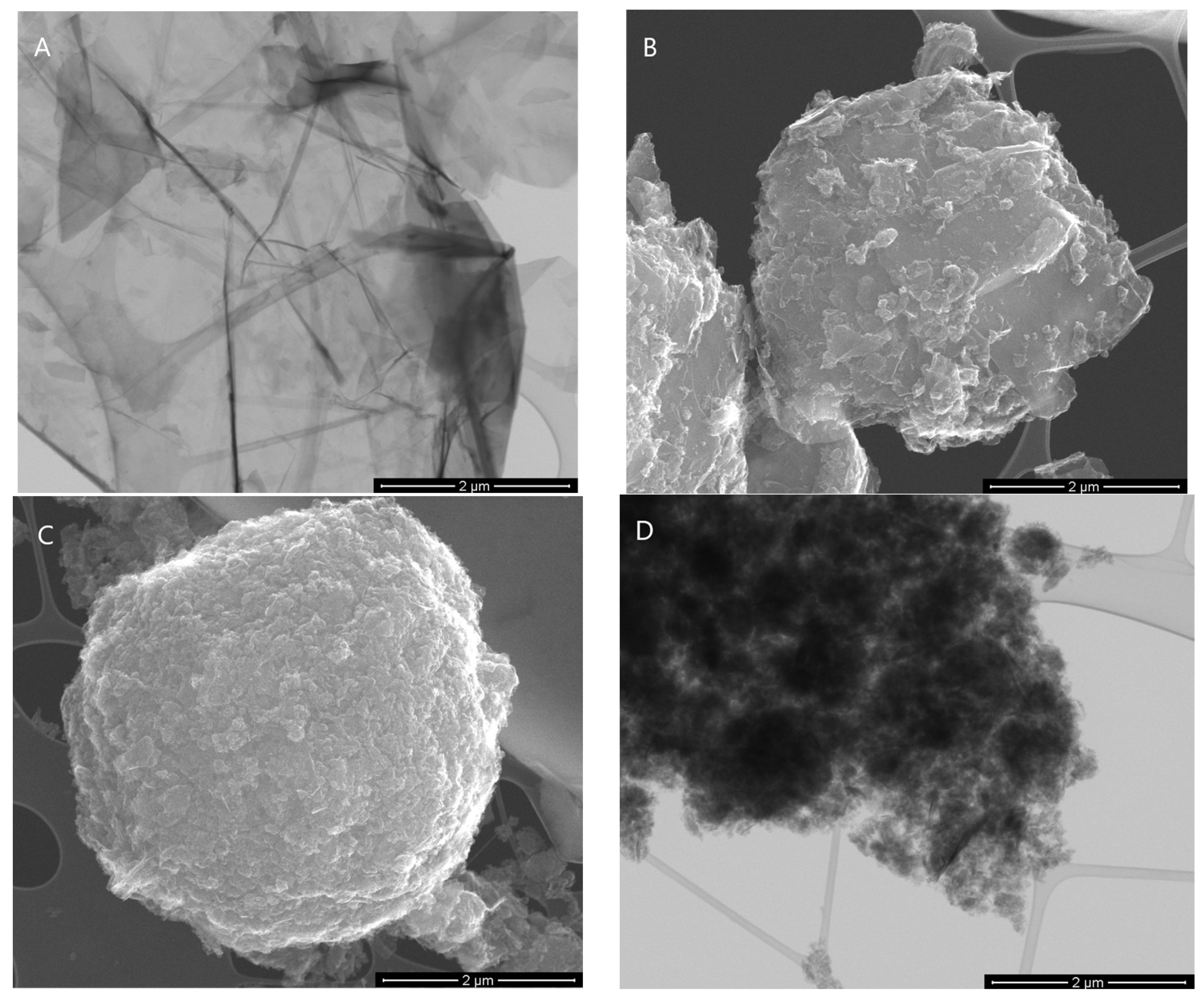 Nanomaterials 13 03068 g002