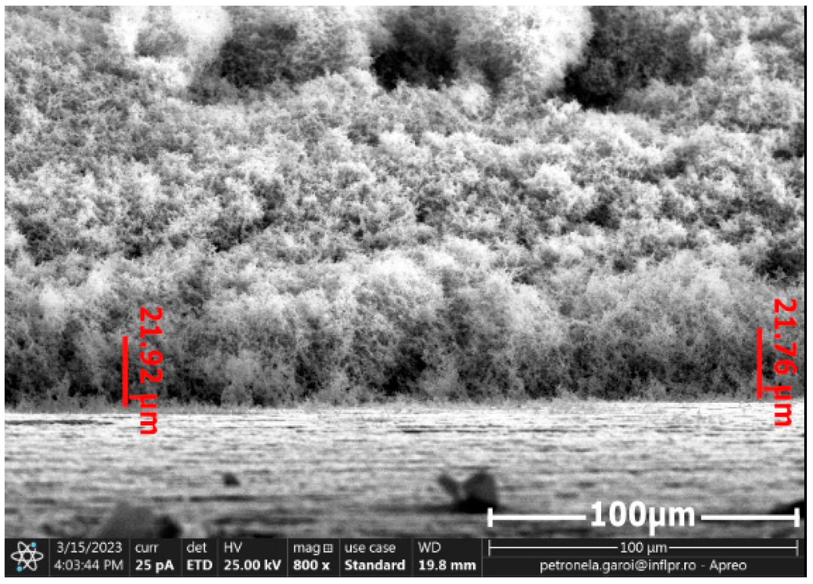 Nanomaterials 13 03071 g009