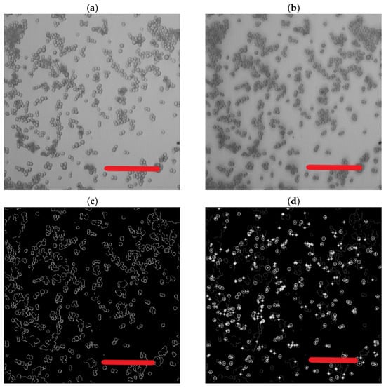 Nanomaterials 13 03075 g0a1