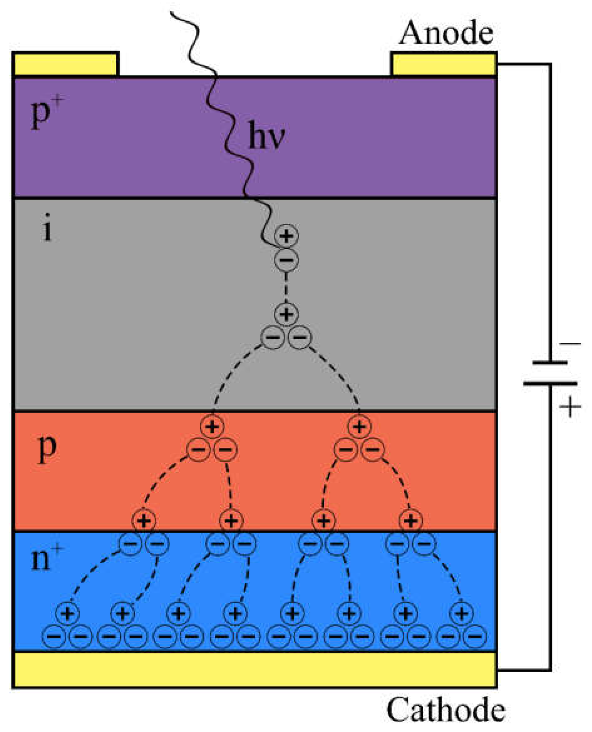 Nanomaterials 13 03078 g001