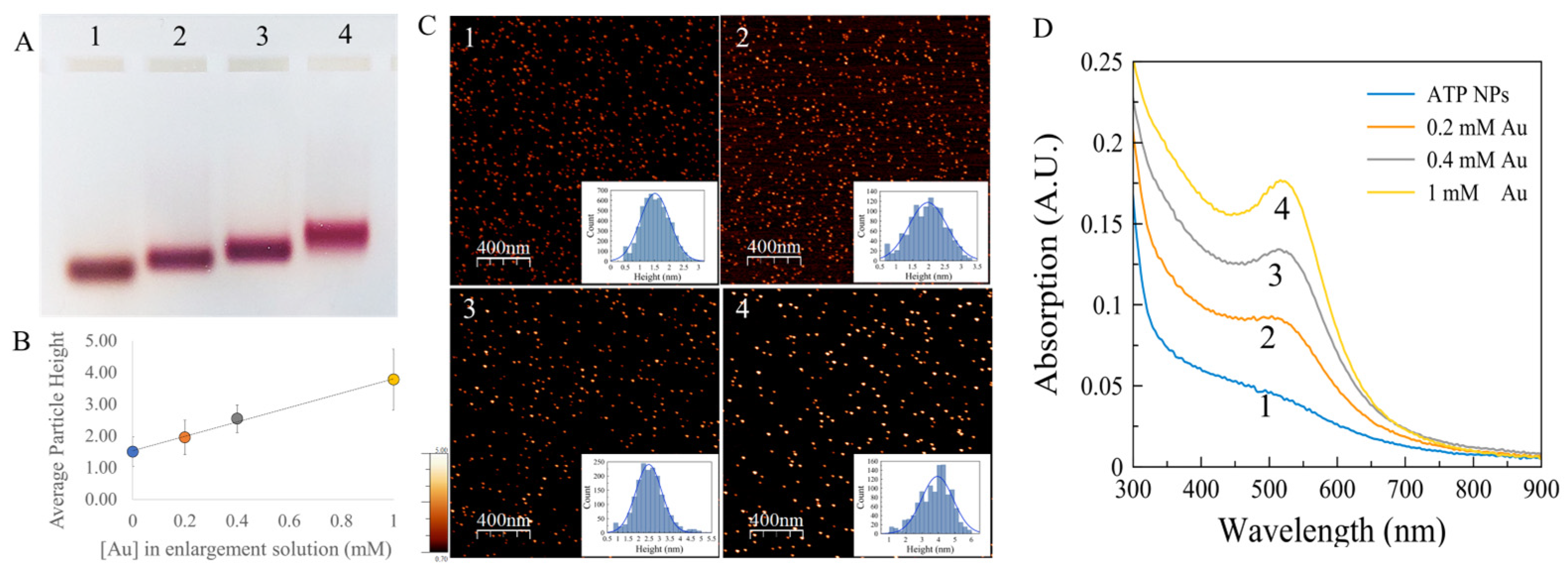 Nanomaterials 13 03080 g002 Nanomaterials 13 03080 g002