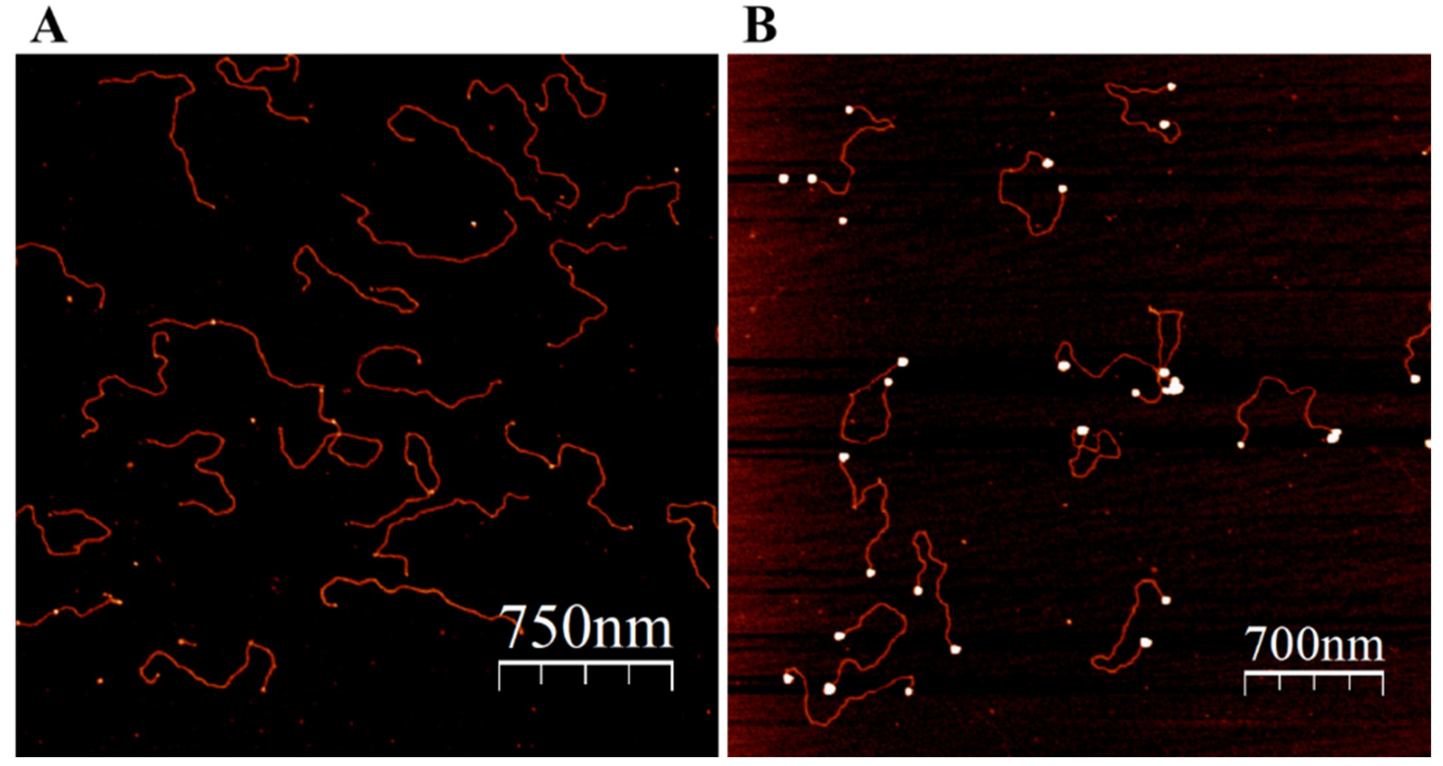 Nanomaterials 13 03080 g003 Nanomaterials 13 03080 g003